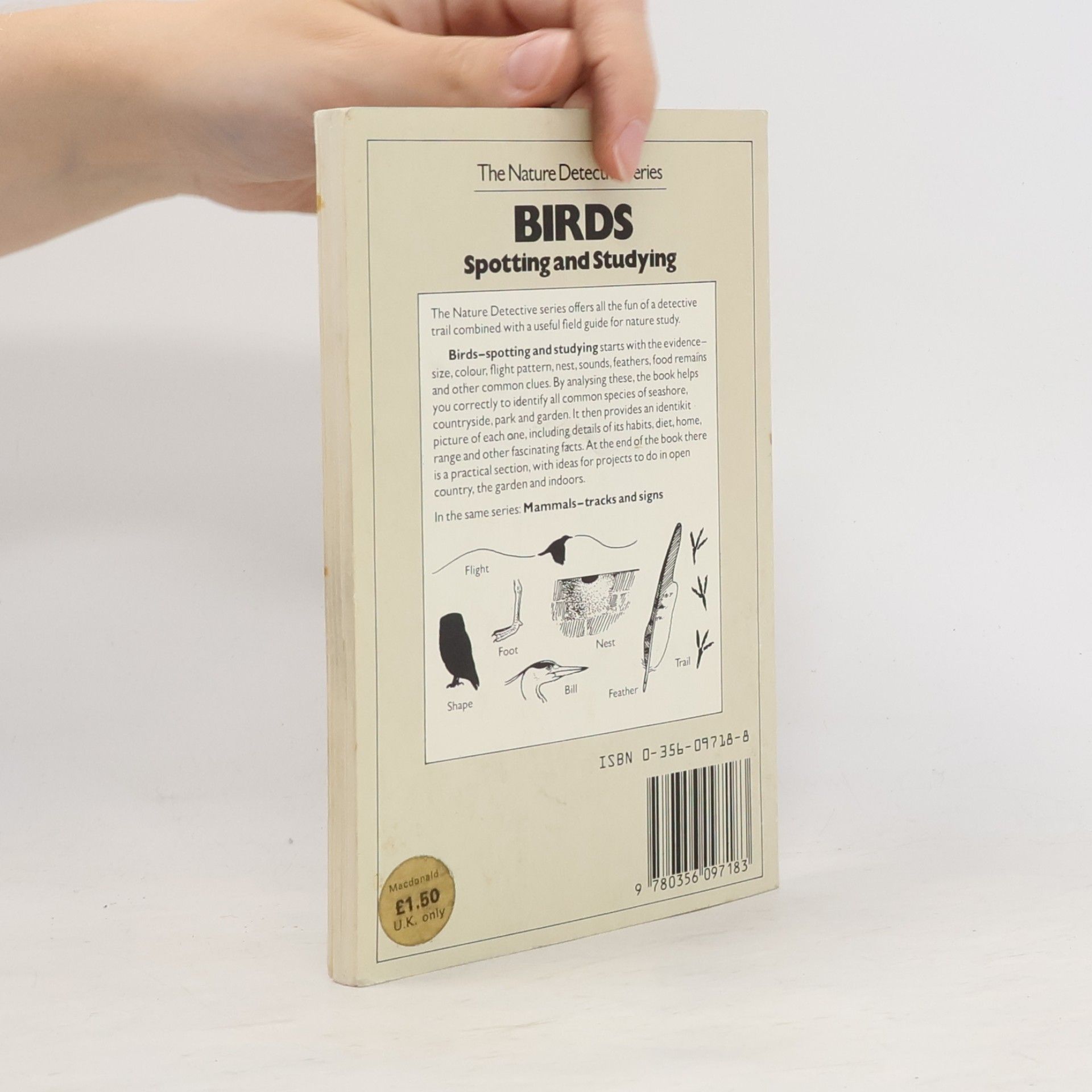 John Stidworthy Birds