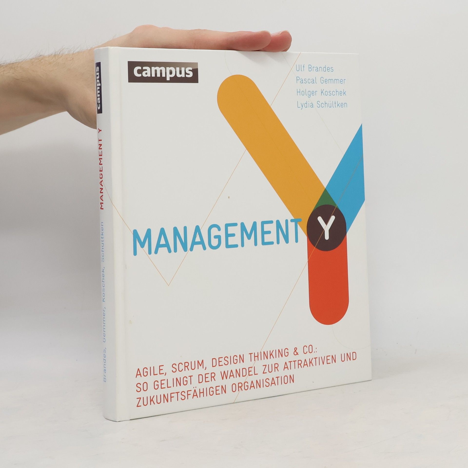 Management Y