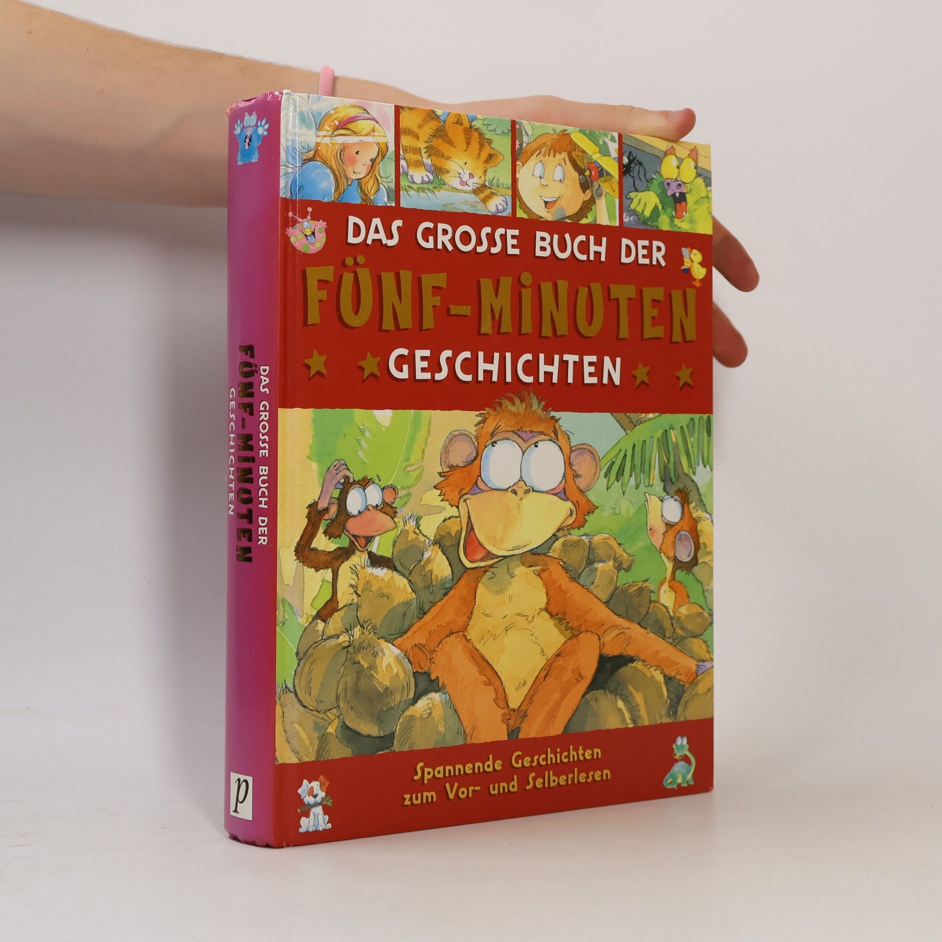 Autorenkollektiv Das große Buch der Fünf-Minuten-Geschichten