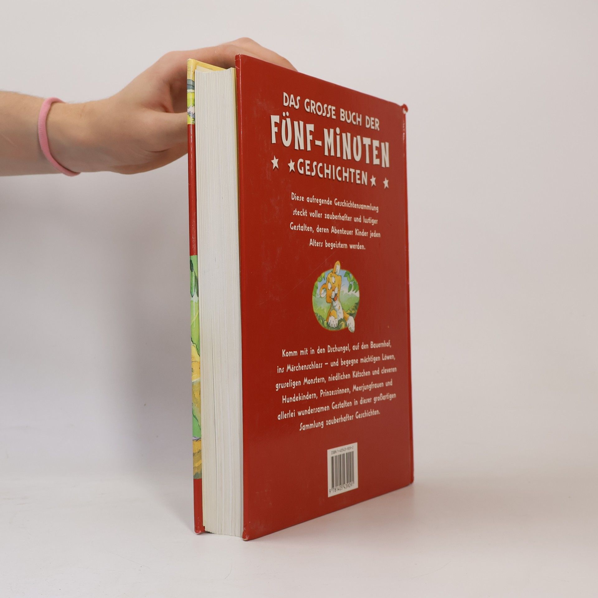 Autorenkollektiv Das große Buch der Fünf-Minuten-Geschichten