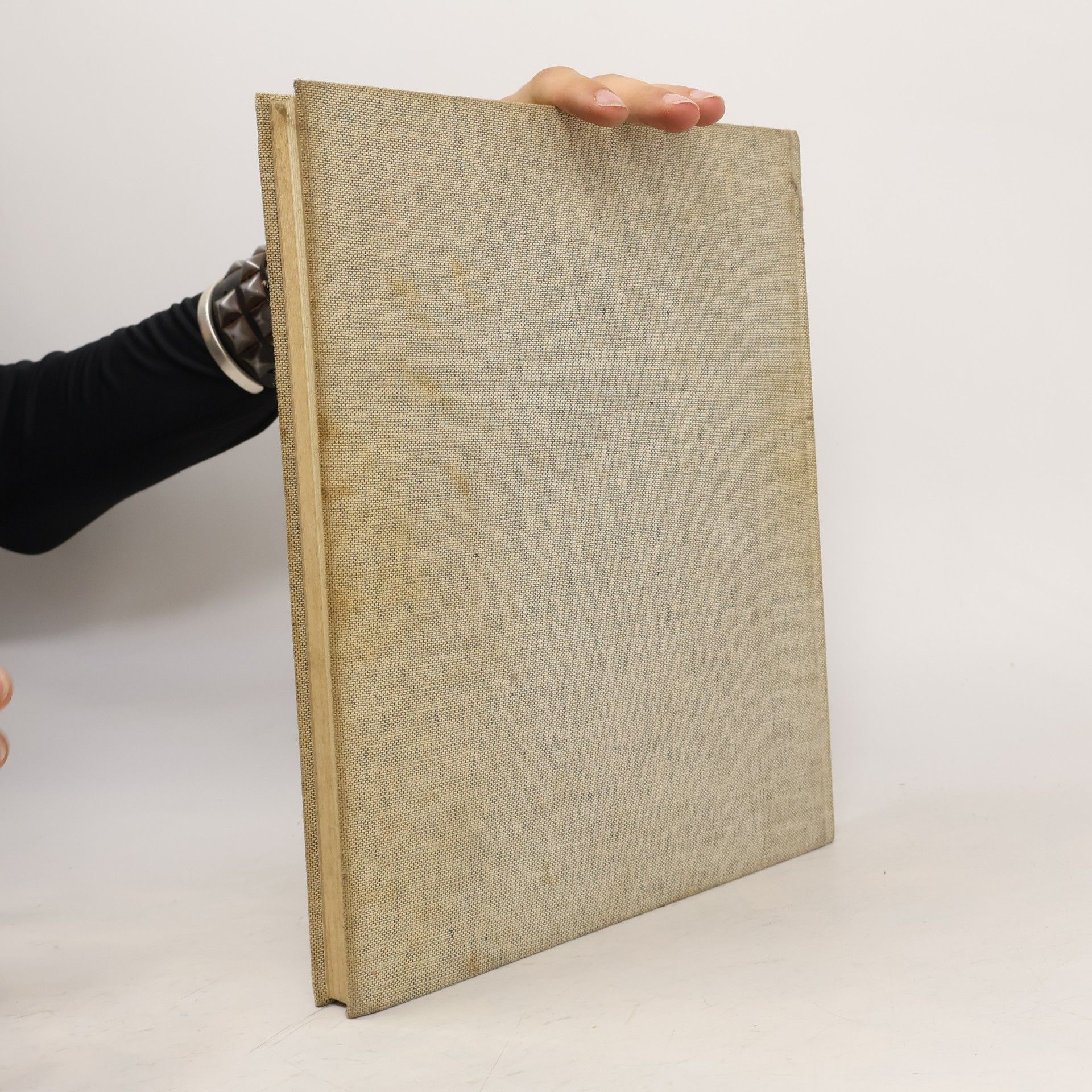 Heinrich Lauterbach Dokumente der modernen Architektur 4: Hugo Häring: Schriften, Entwürfe, Bauten