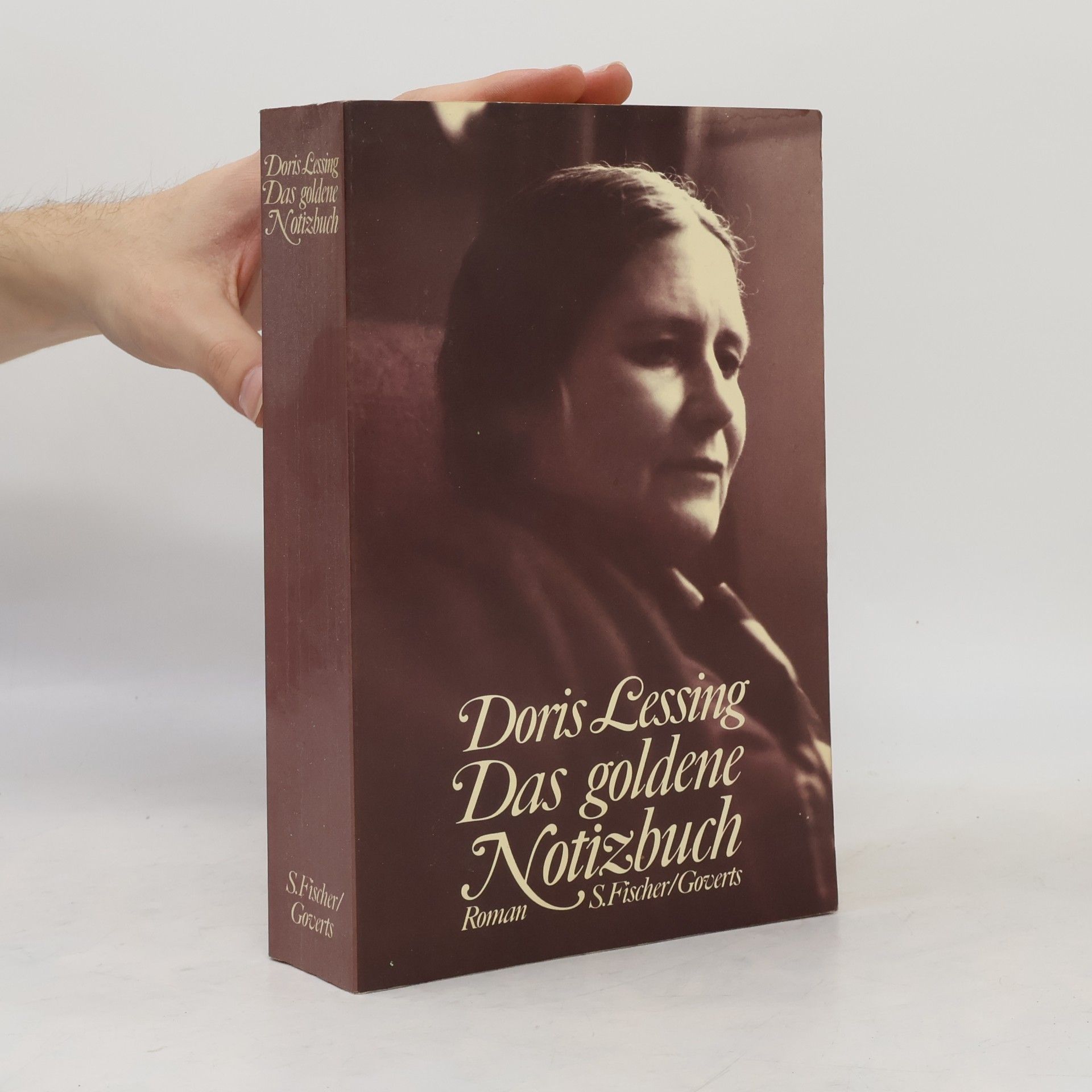Doris Lessing  Das goldene Notizbuch