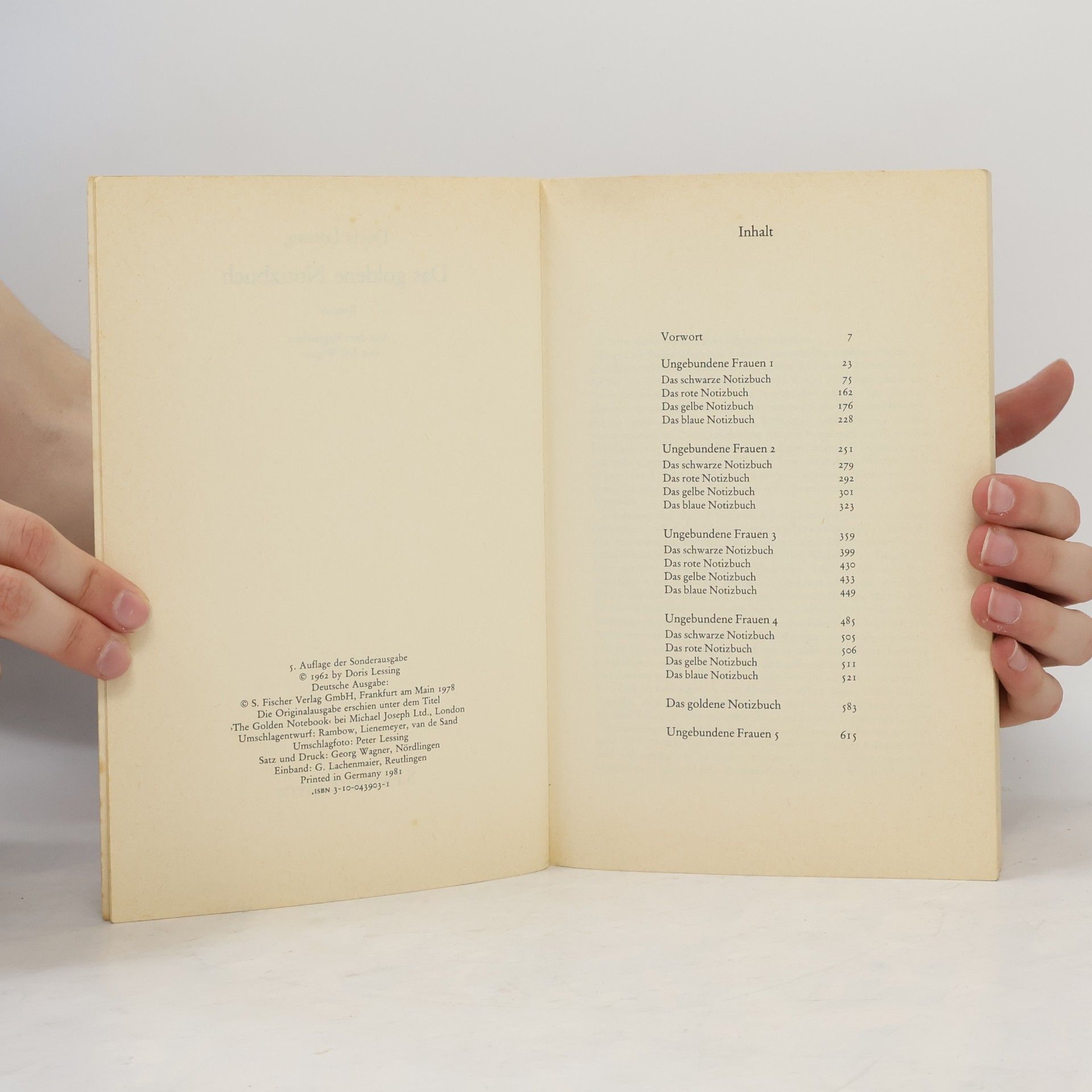 Doris Lessing  Das goldene Notizbuch