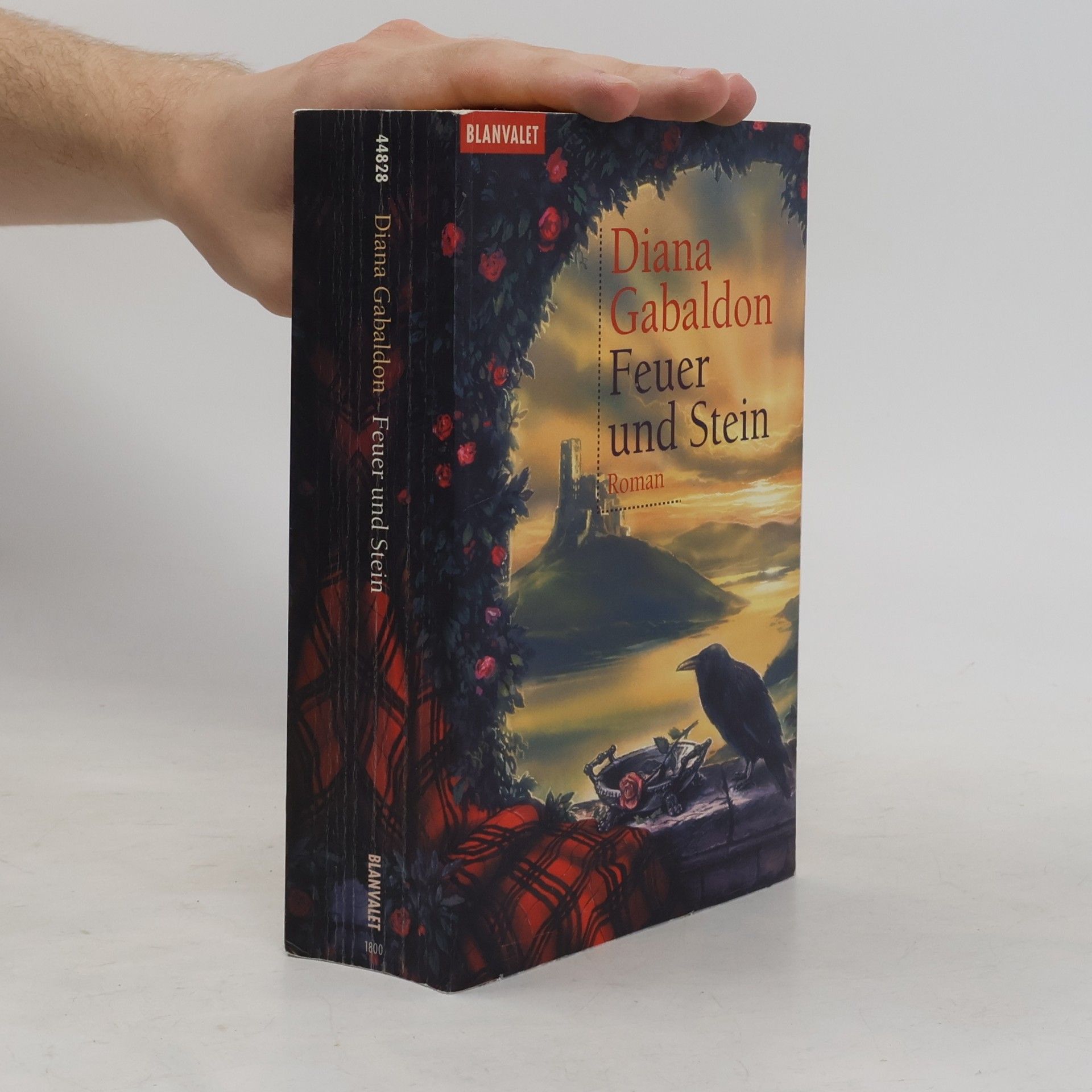 Diana Gabaldon Feuer und Stein