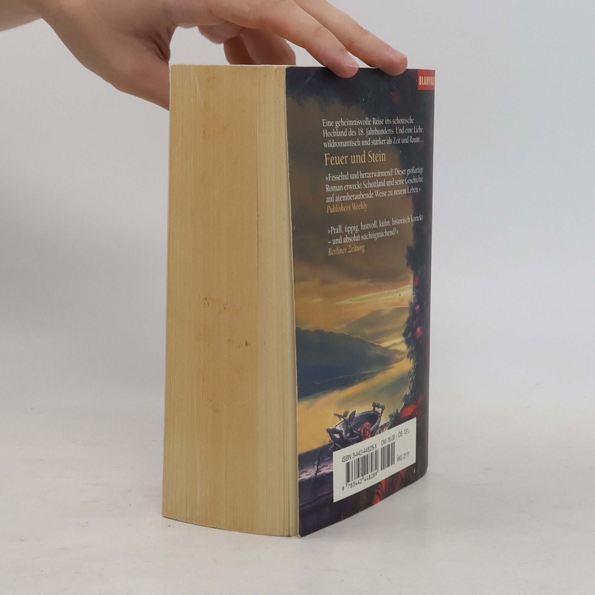 Diana Gabaldon Feuer und Stein