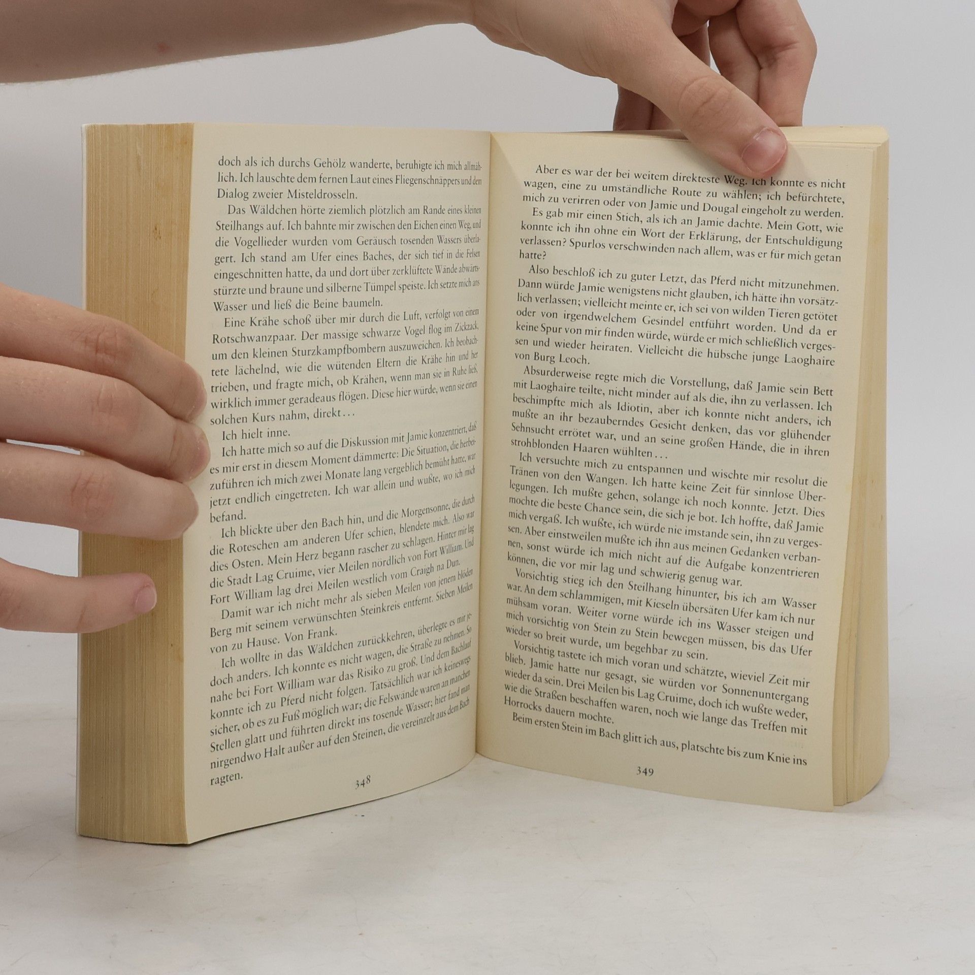 Diana Gabaldon Feuer und Stein