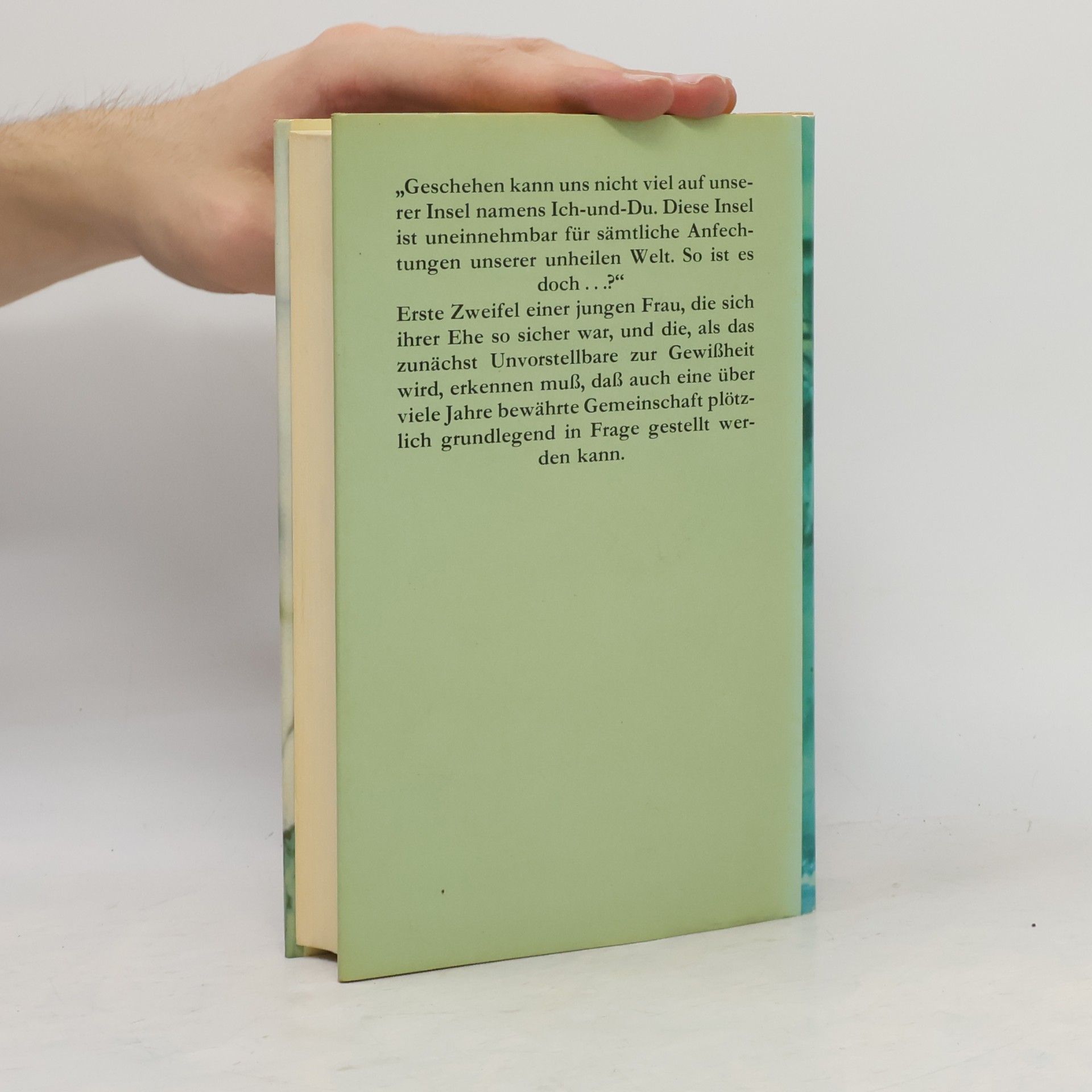 Elisabeth Gürt Und plötzlich wie ein Fremder