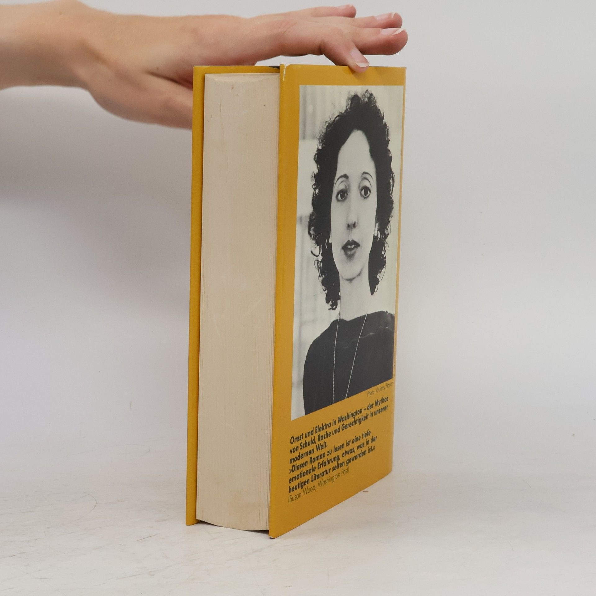 Joyce Carol Oates Engel des Lichts. Roman