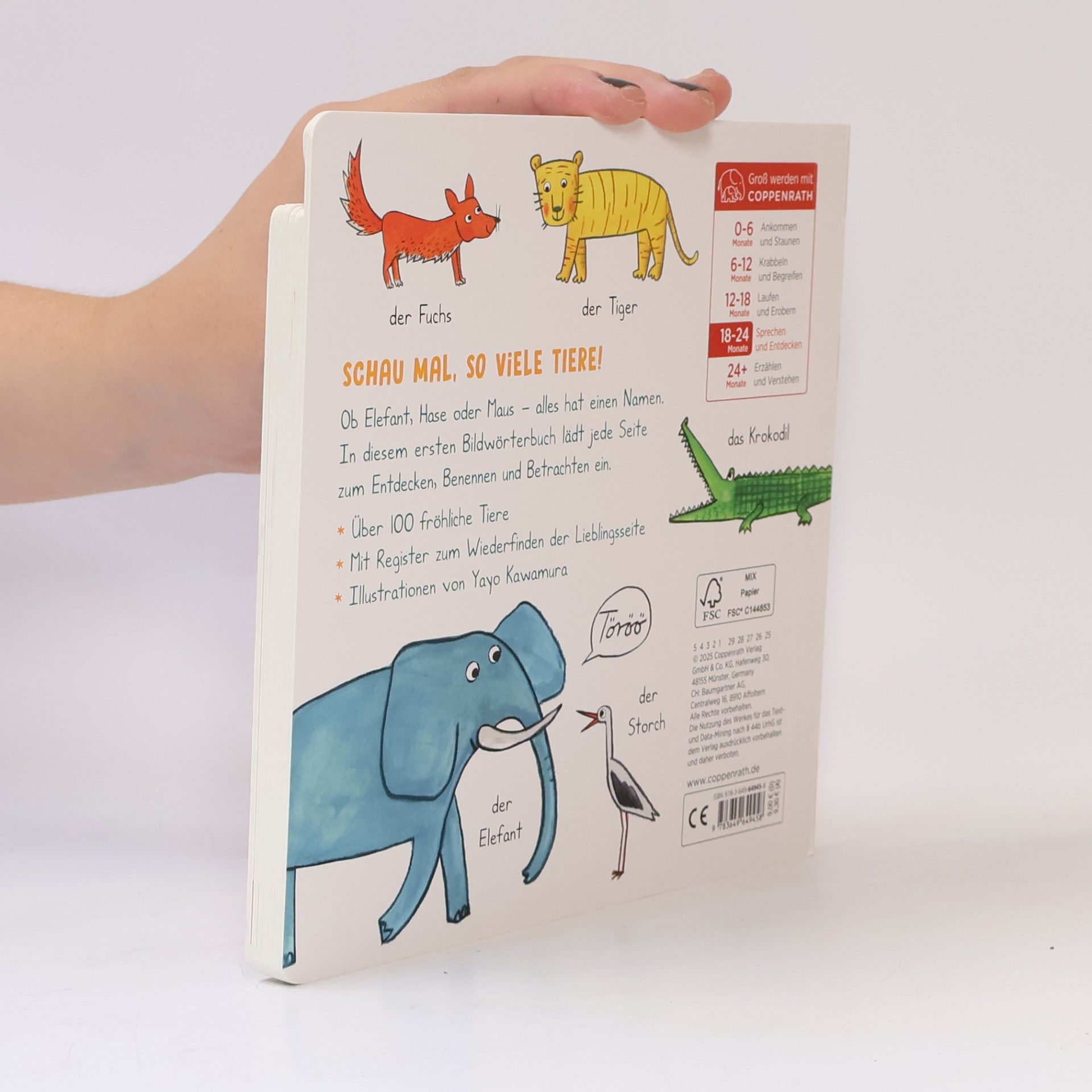 Yayo Kawamura Mein liebstes Wörterbuch