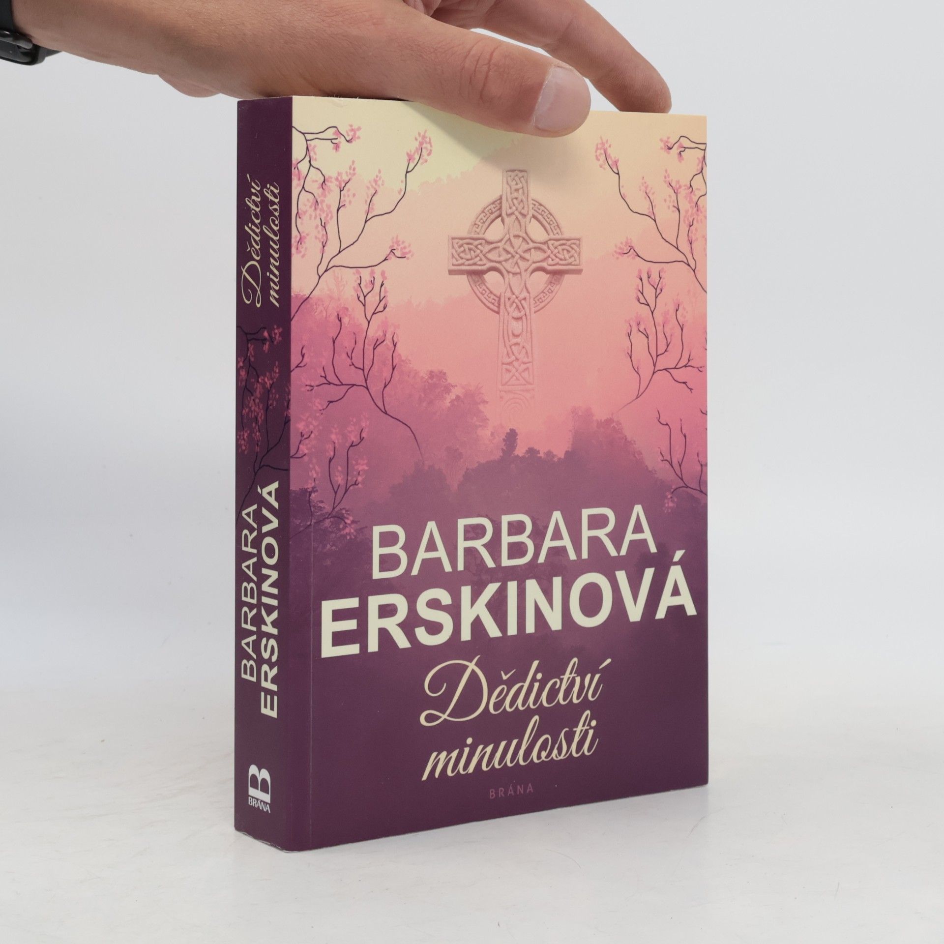 Barbara Erskine Dědictví minulosti