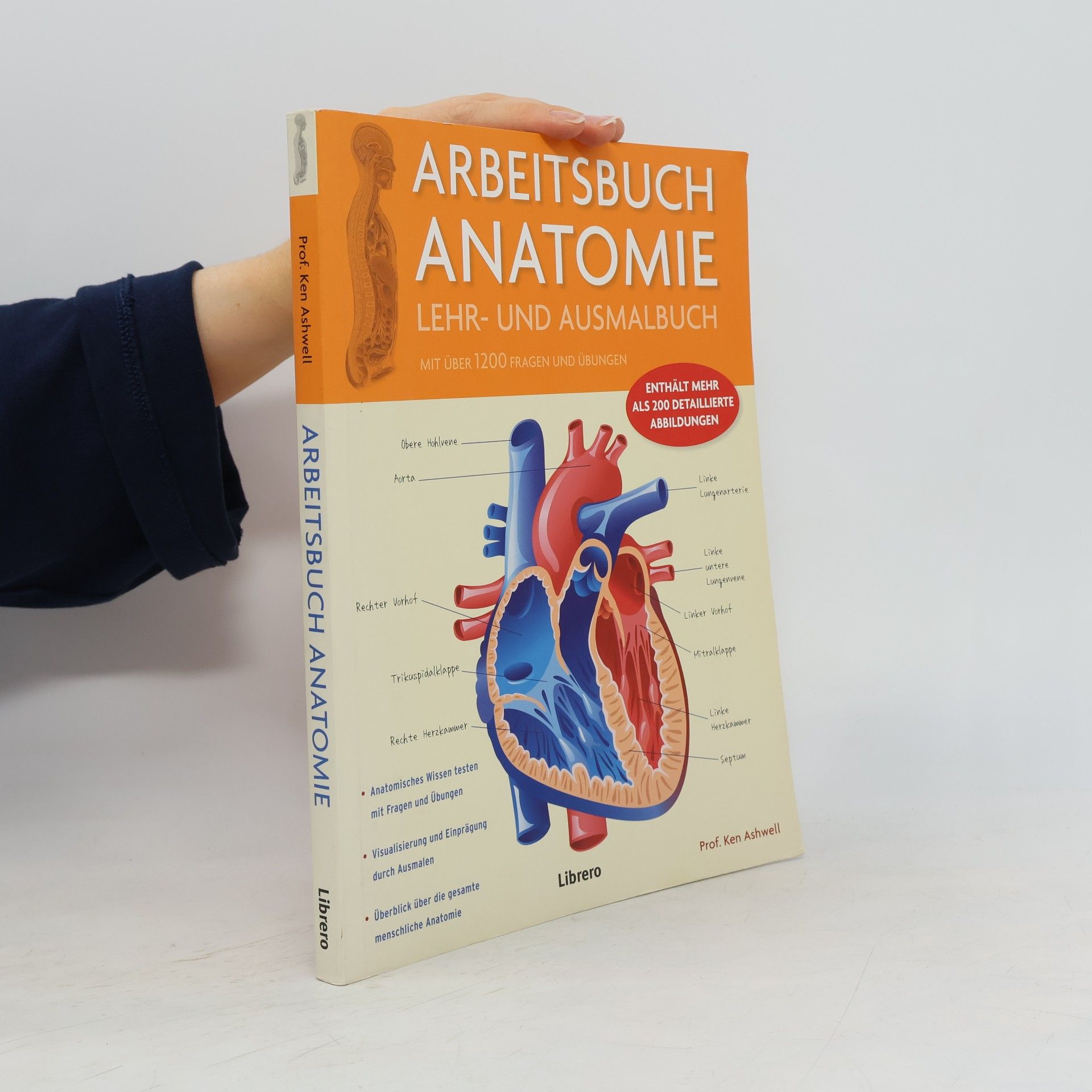 Ken Ashwell Arbeitsbuch Anatomie