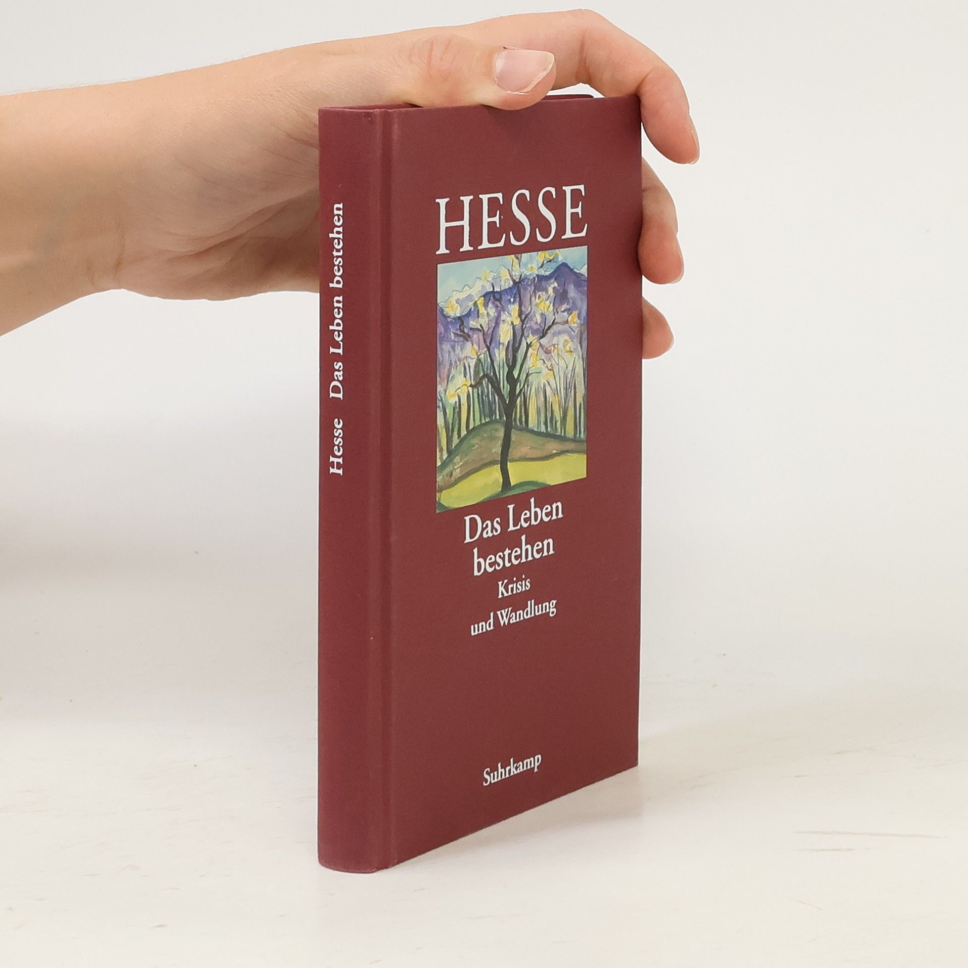 Hermann Hesse Die Hölle ist überwindbar
