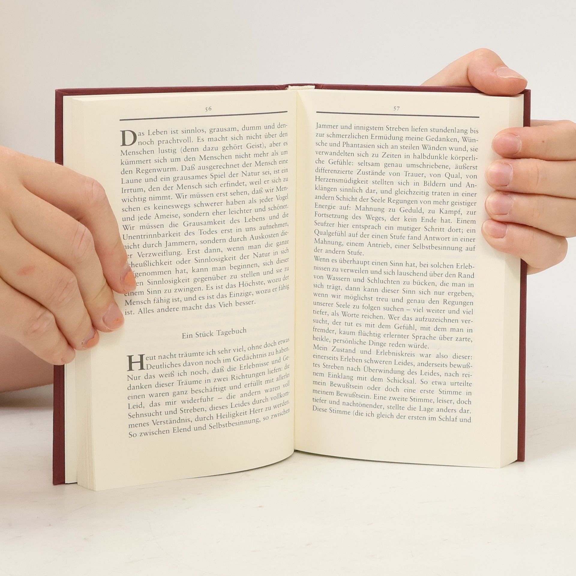 Hermann Hesse Die Hölle ist überwindbar