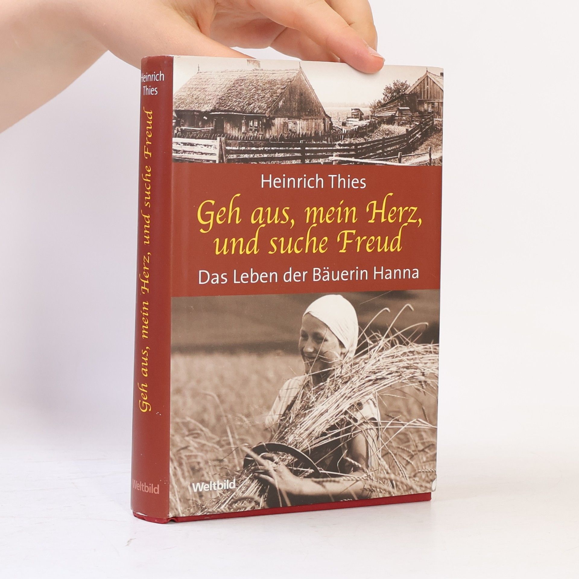 Heinrich Thies Geh aus, mein Herz, und suche Freud