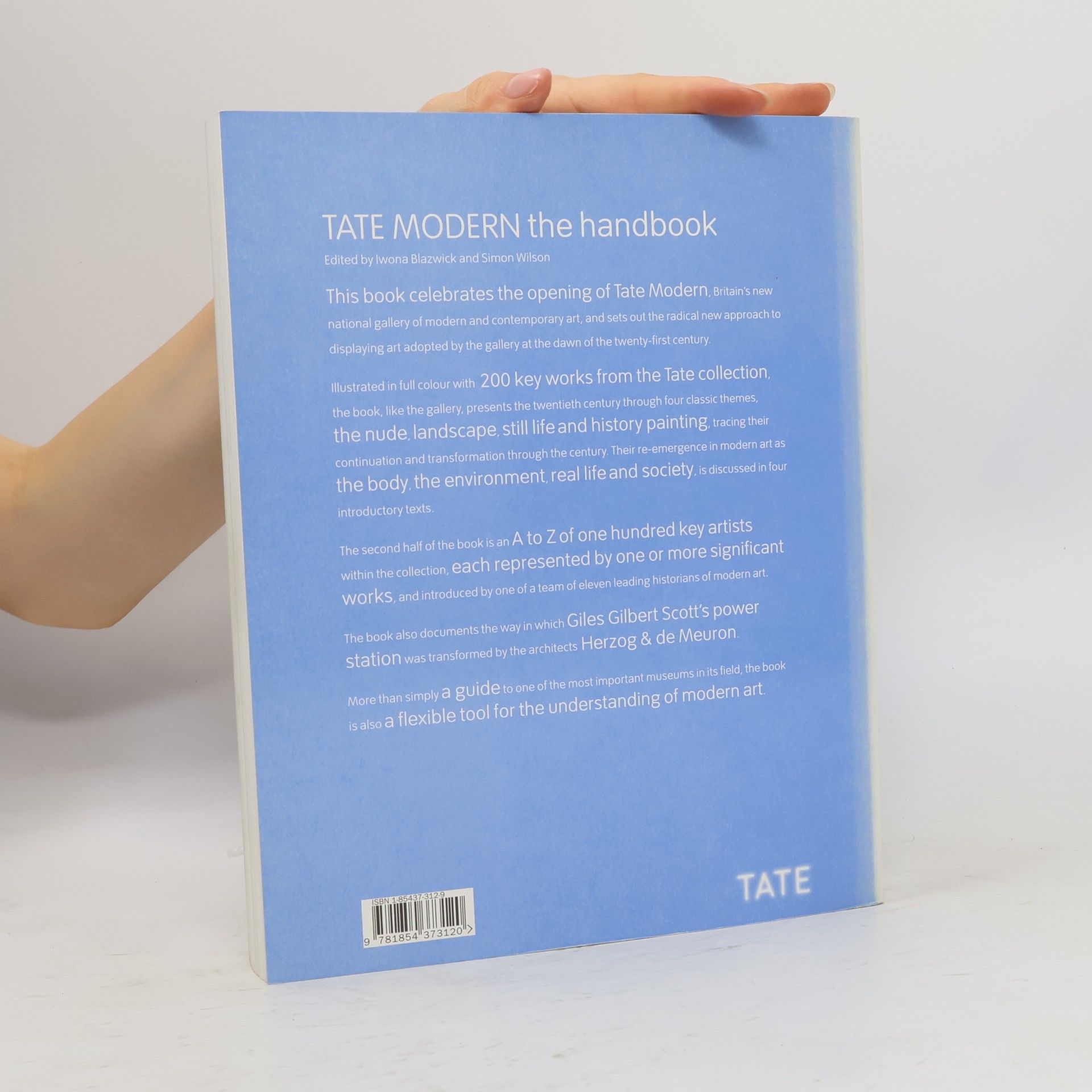 Simon Wilson Tate Modern, the Handbook