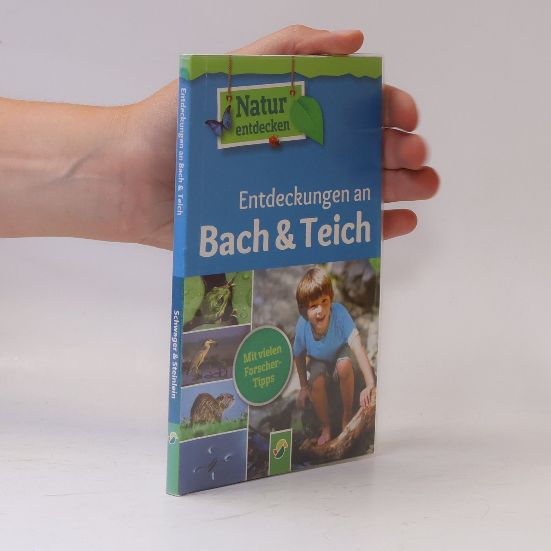 Martina Gorgas Entdeckungen an Bach & Teich