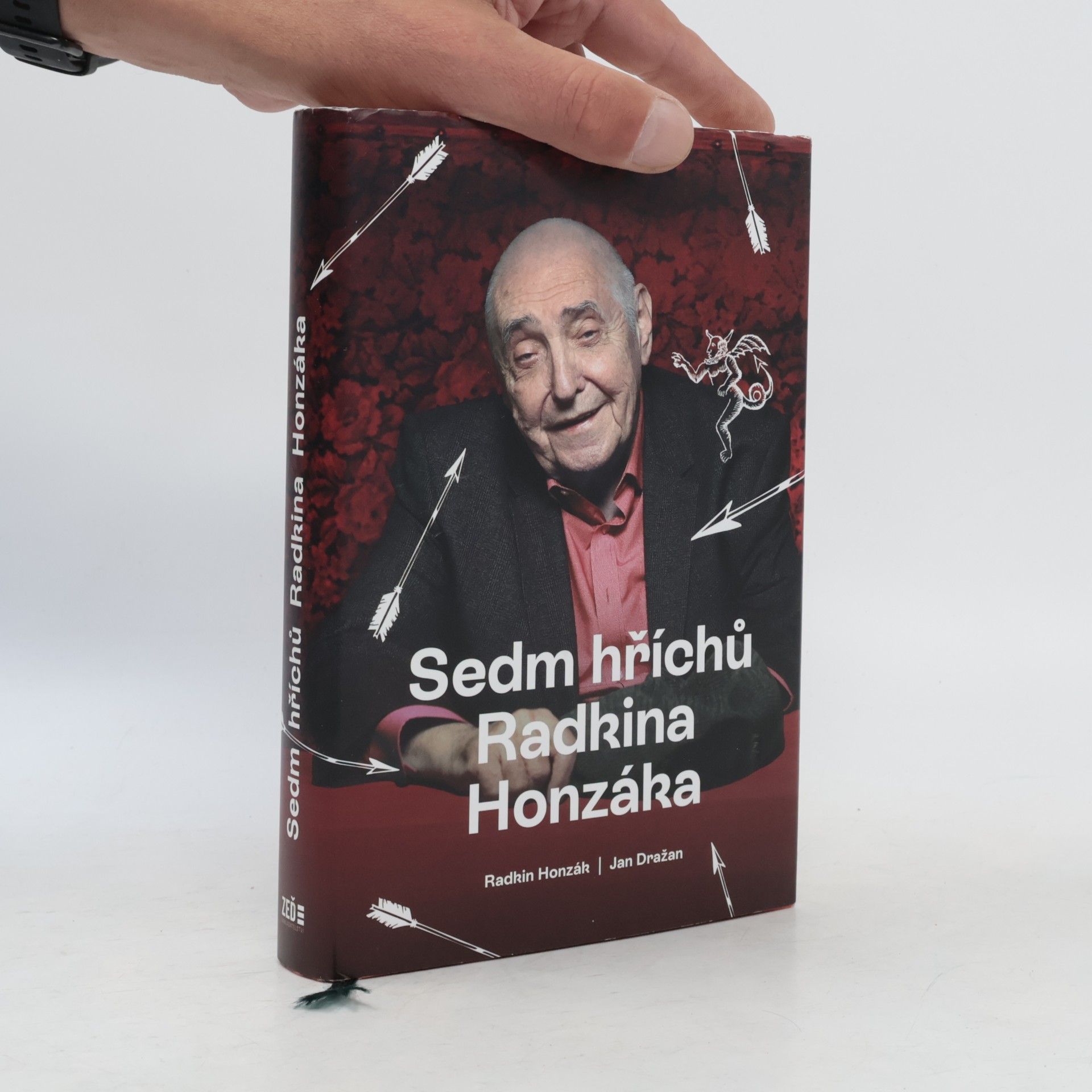 Sedm hříchů Radkina Honzáka