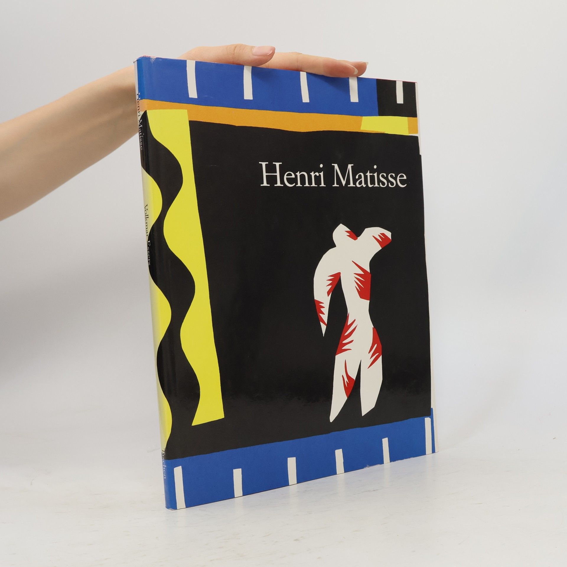 Henri Matisse 1869-1954 : Meister der Farbe