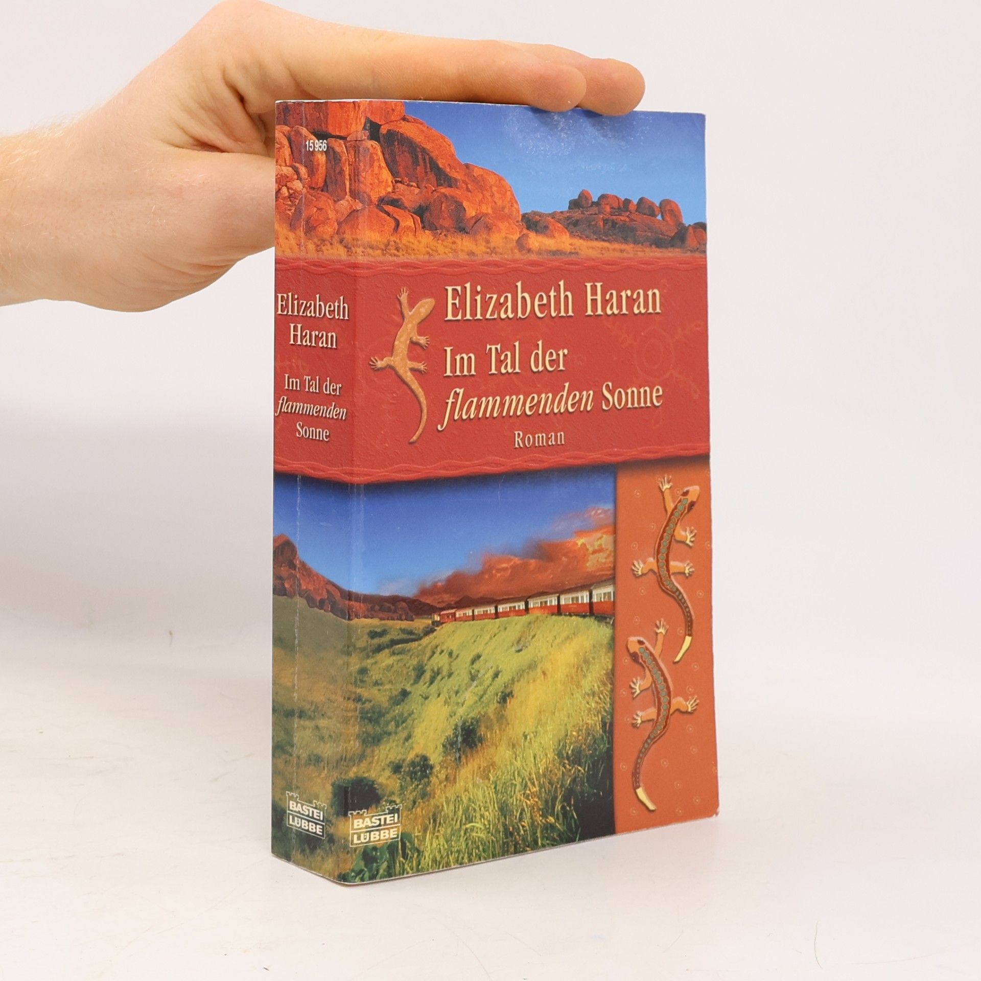 Elizabeth Haran Im Tal der flammenden Sonne