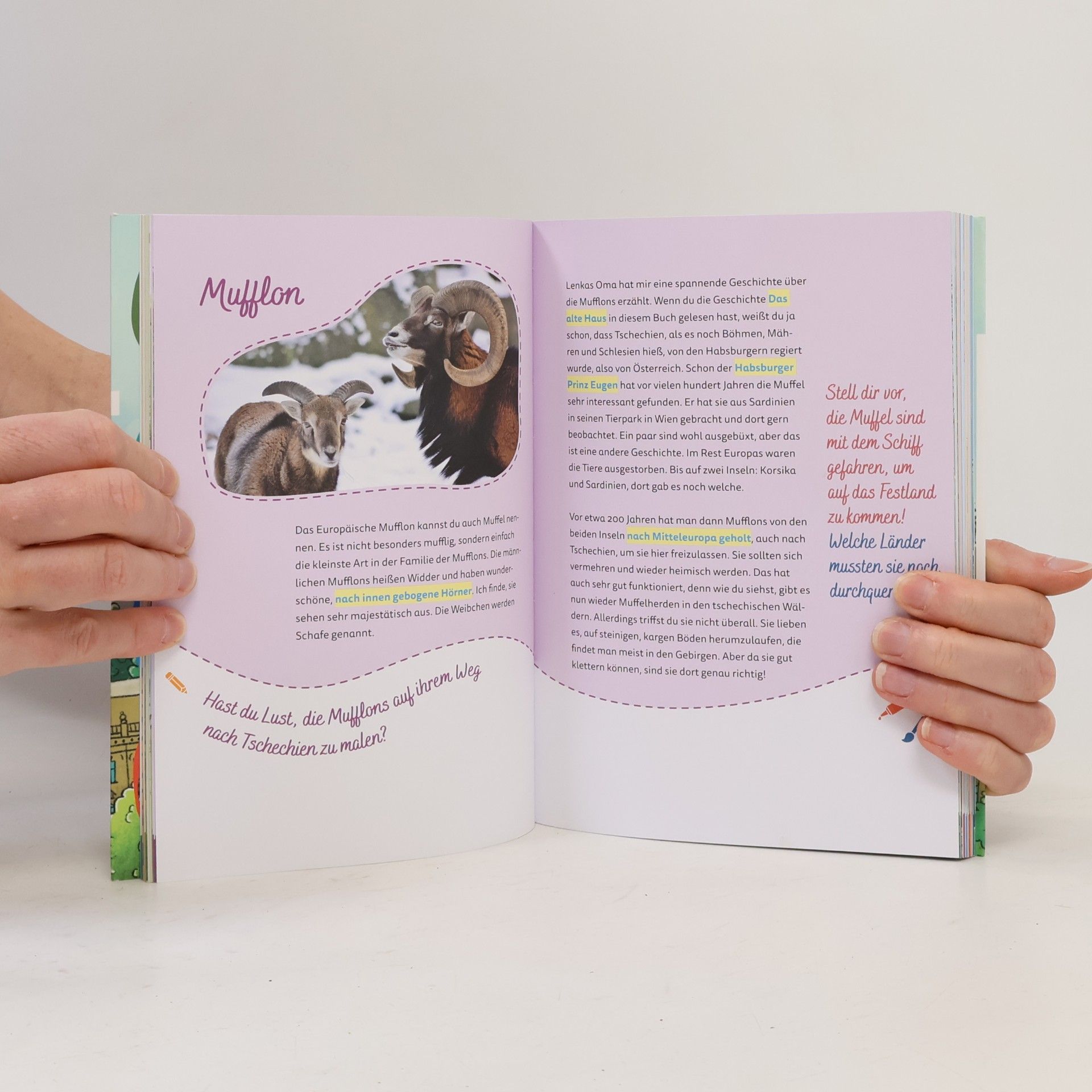 Britta Schmidt von Groeling Tschechien for kids