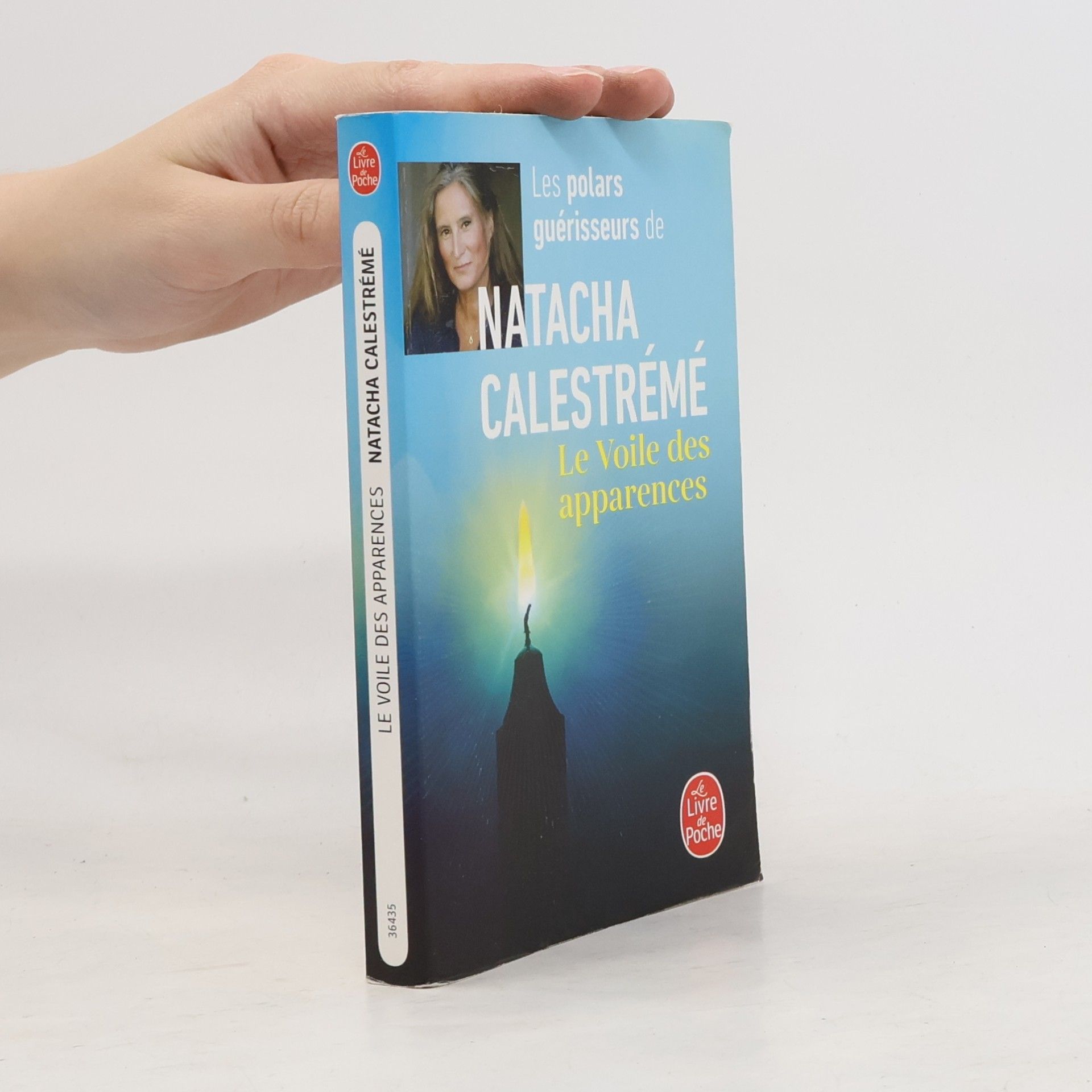 Natacha Calestrémé Le Voile des apparences