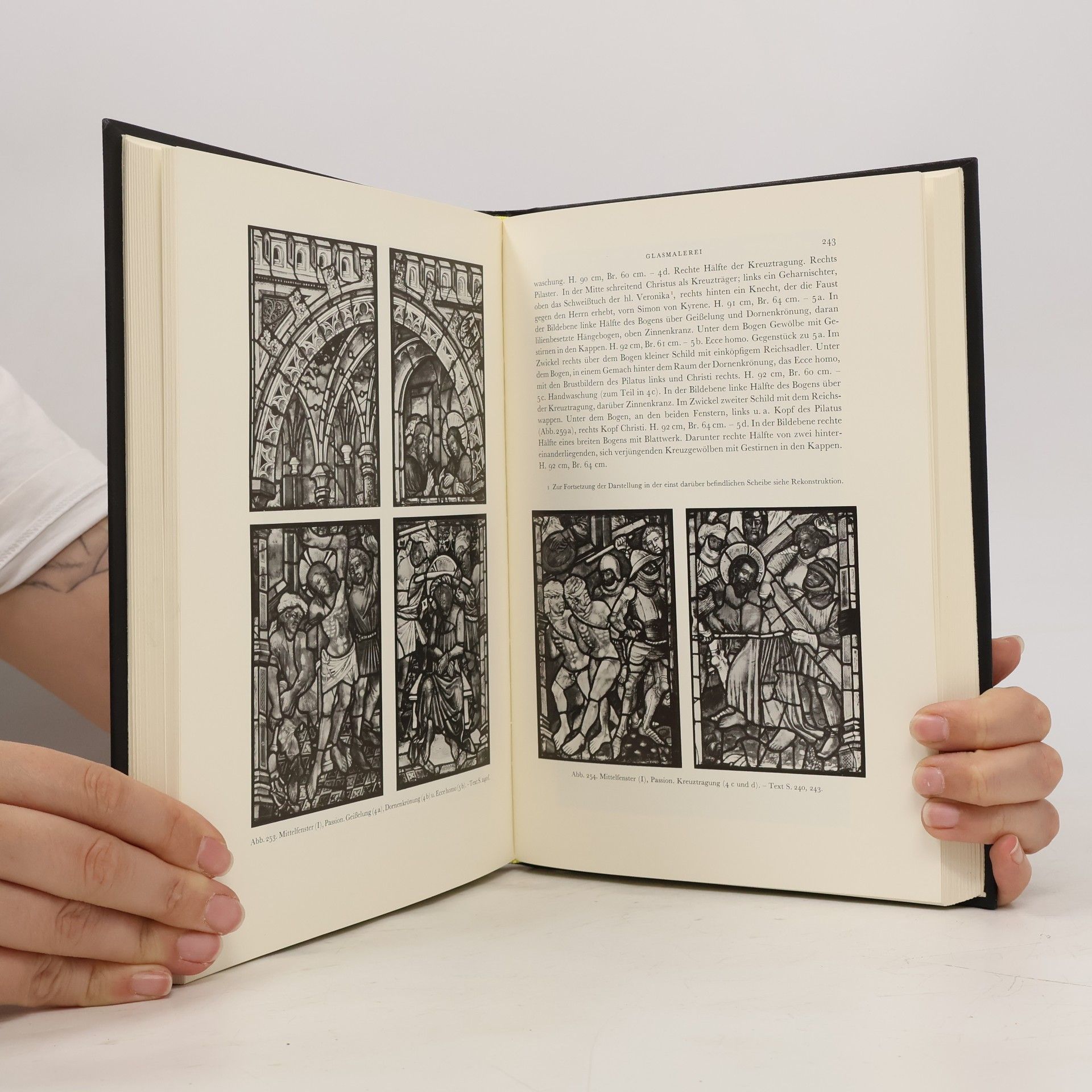 Francois Maurer Die Kunstdenkmäler des Kantons Basel-Stadt IV.