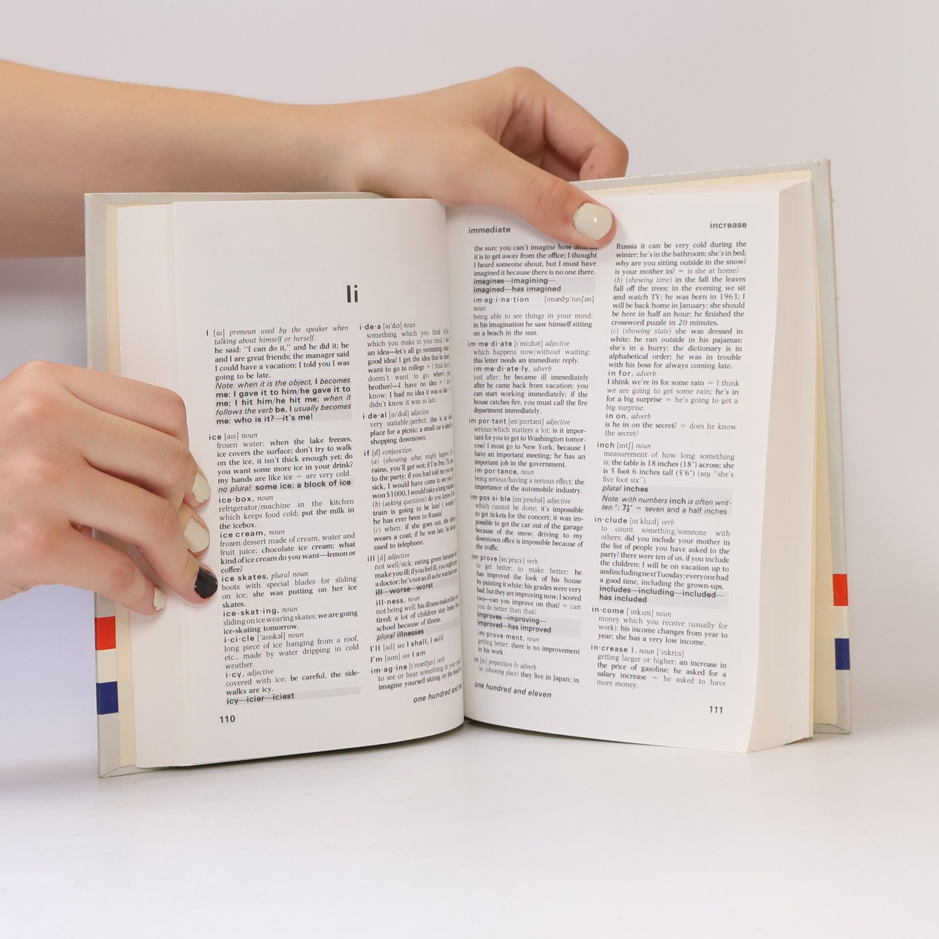 Autorenkollektiv Beginner's Dictionary of American English Usage