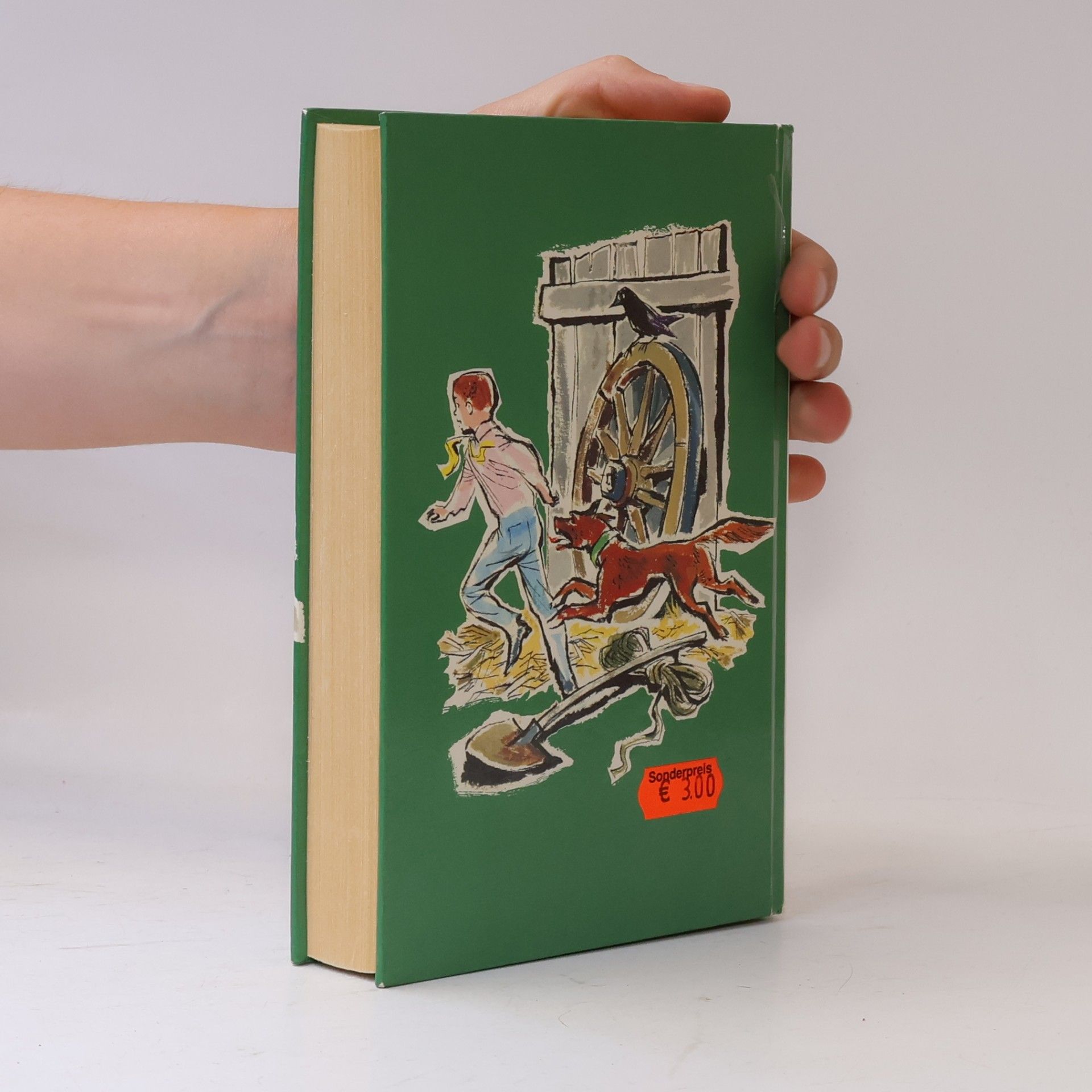 Enid Blyton 5 Freunde und das Burgverlies