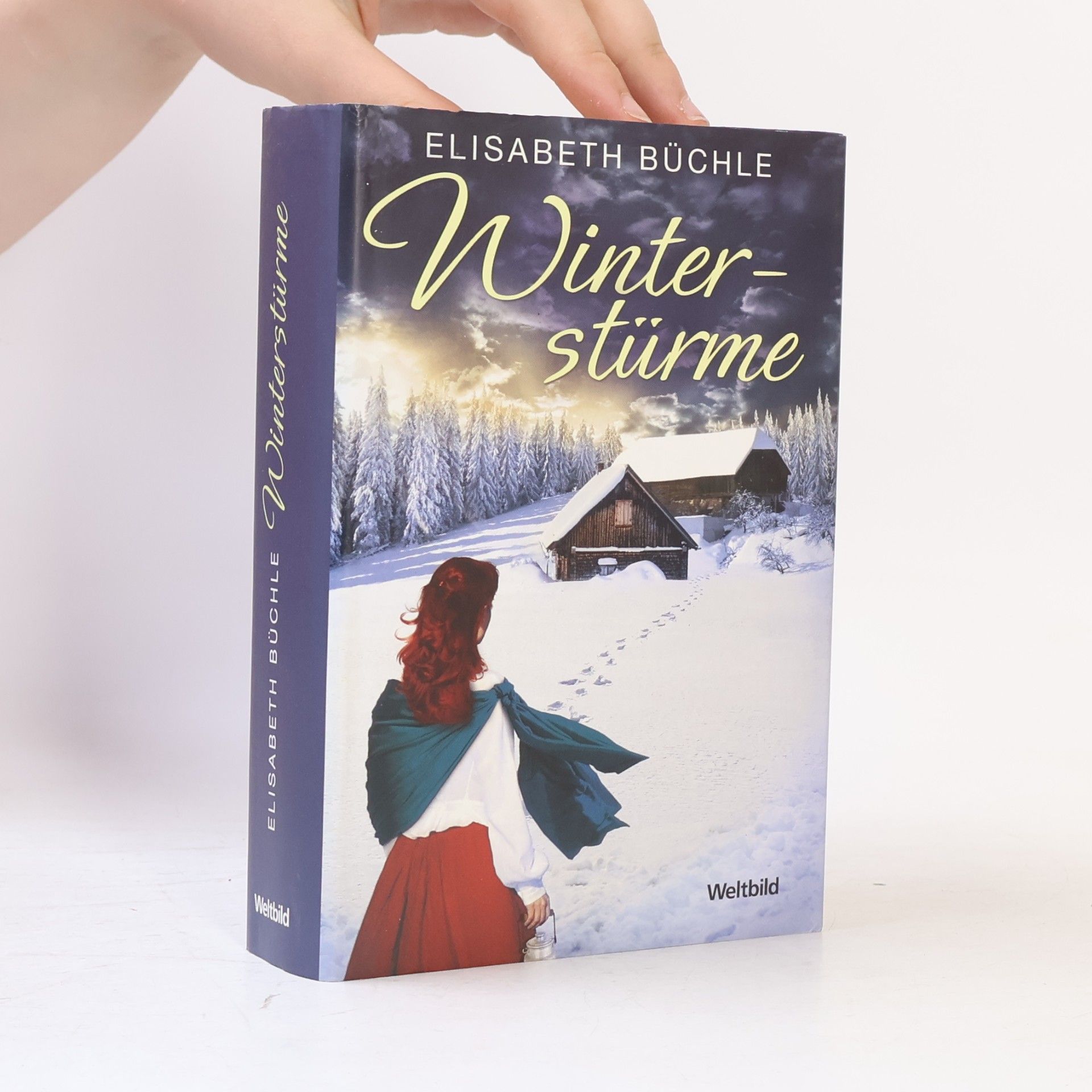 Elisabeth Büchle Winterstürme