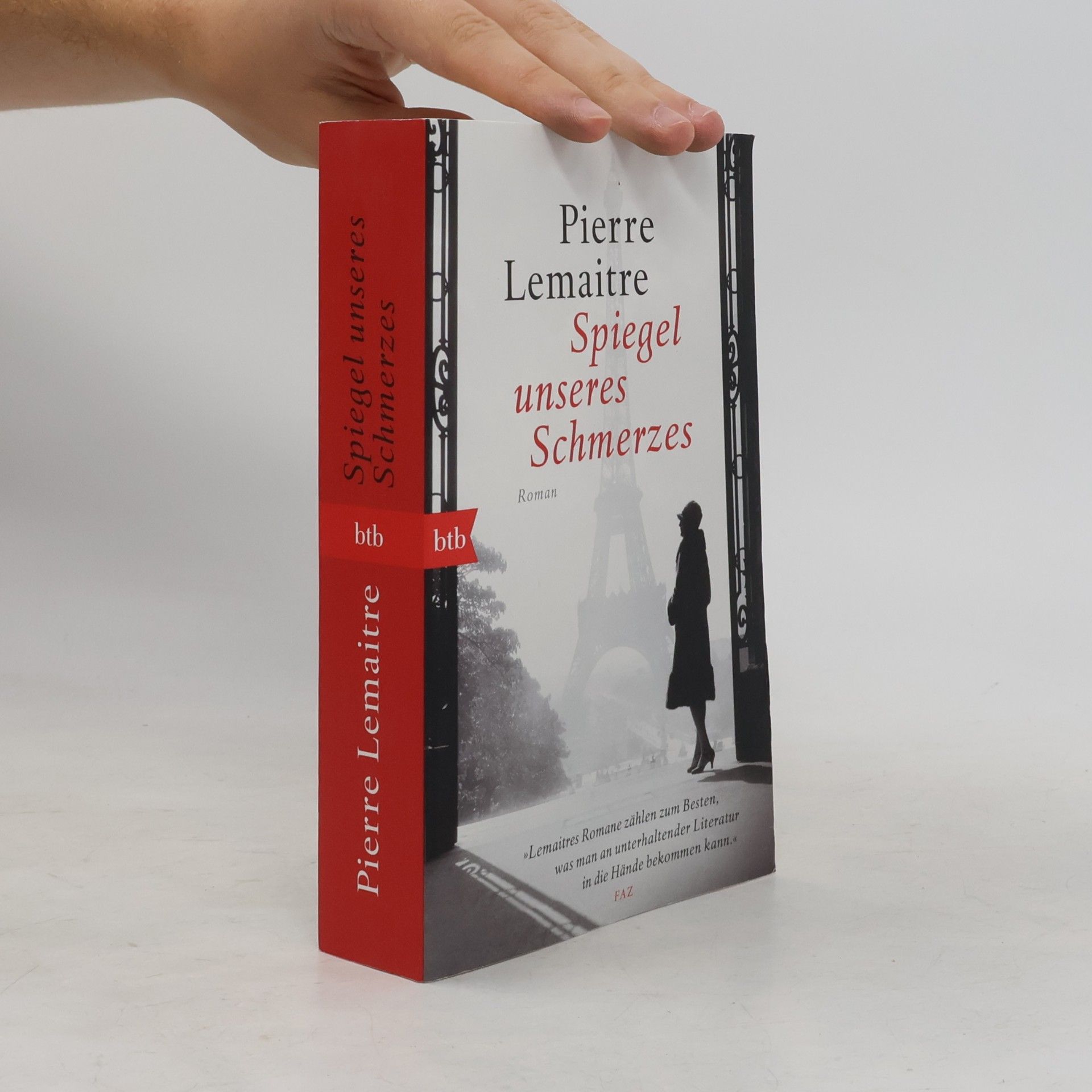Pierre Lemaitre Spiegel unseres Schmerzes
