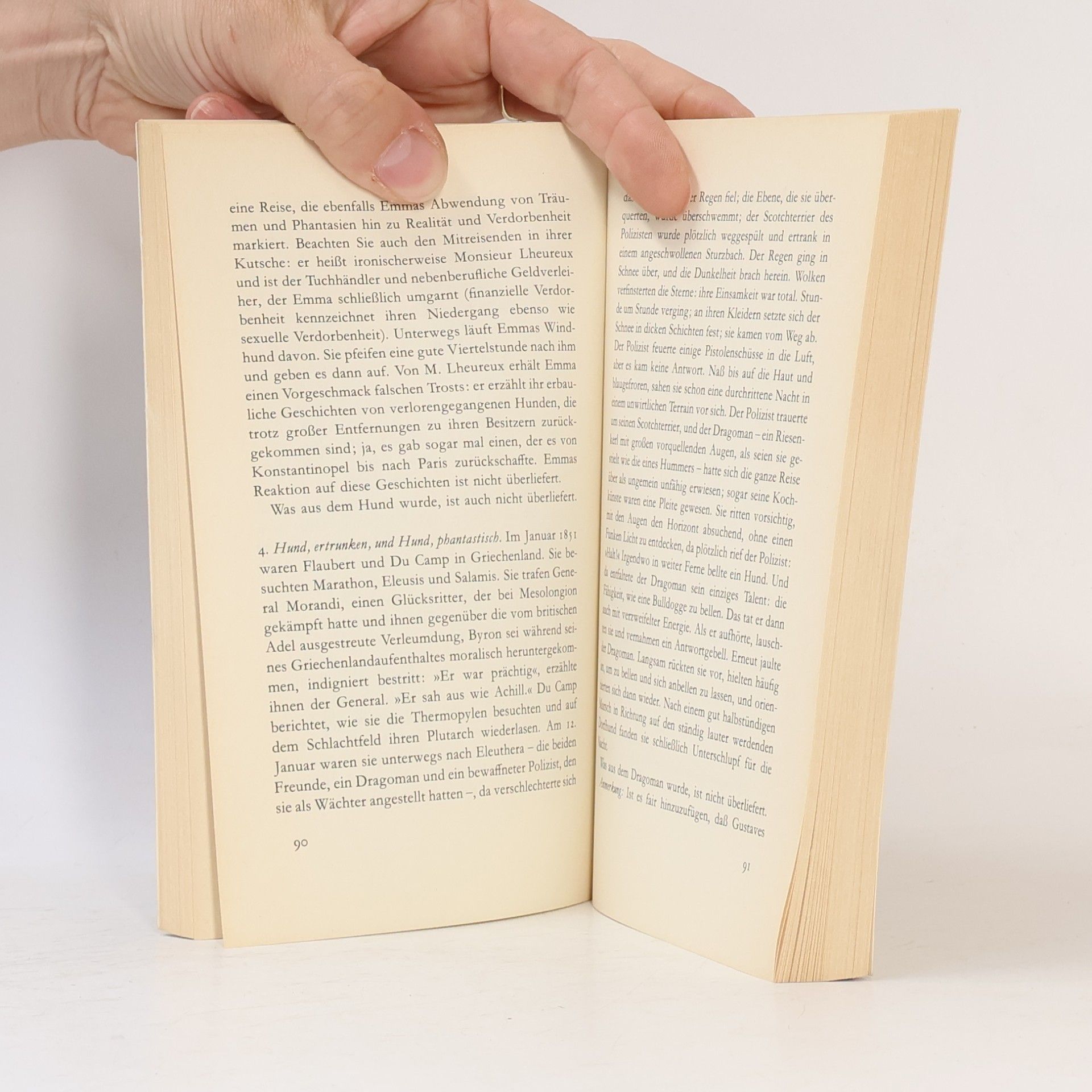 Julian Barnes Flauberts Papagei
