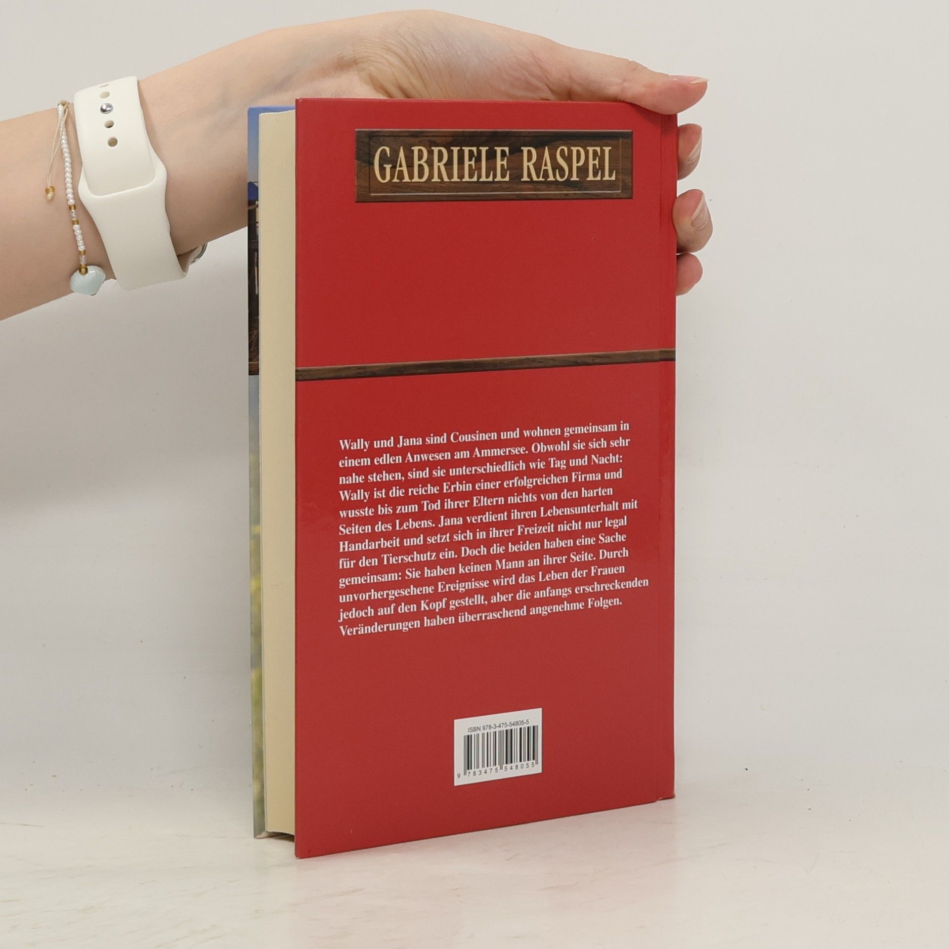 Gabriele Raspel Mondschein über Seewinkel