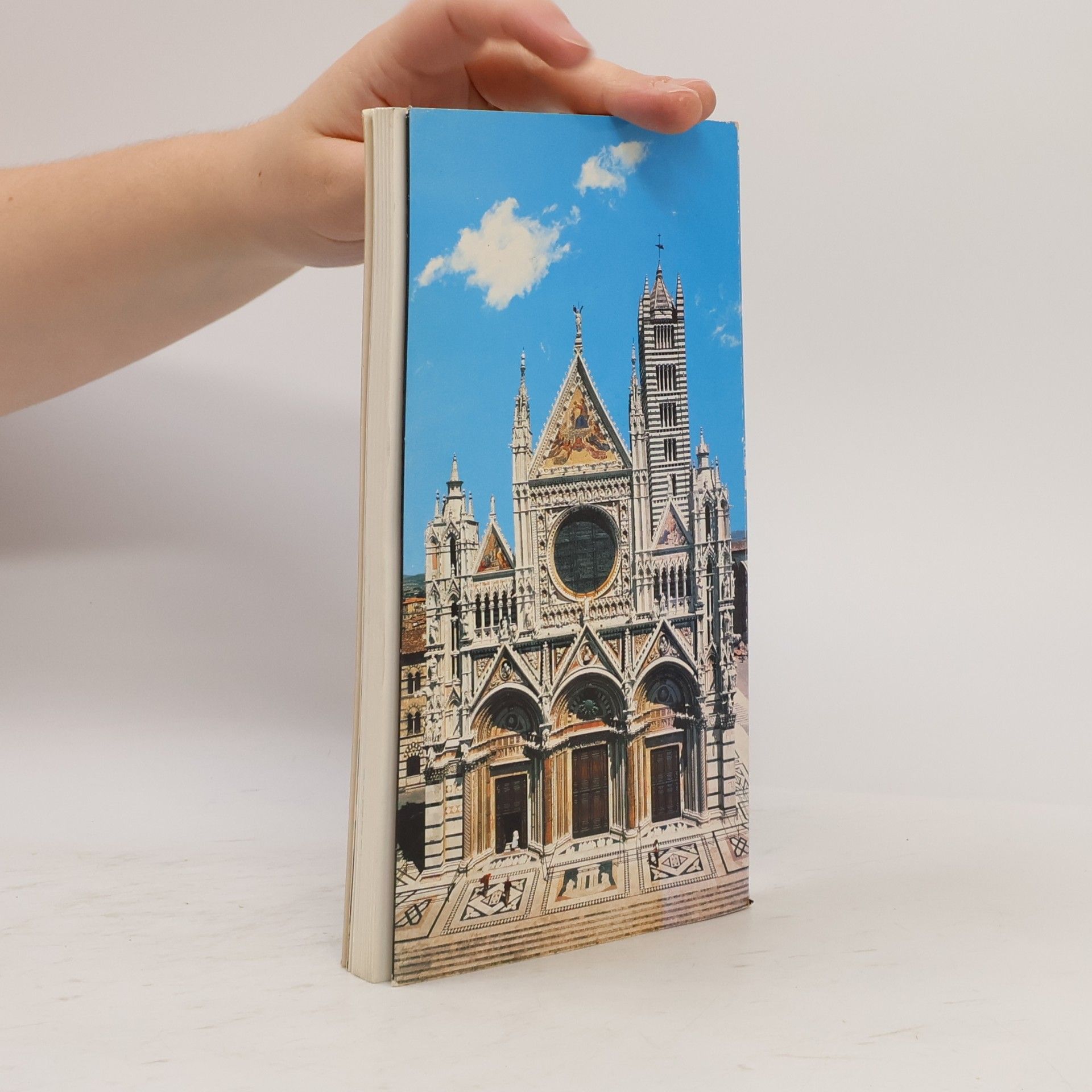 Kolektiv autorů Siena. Die Stadt des Palio