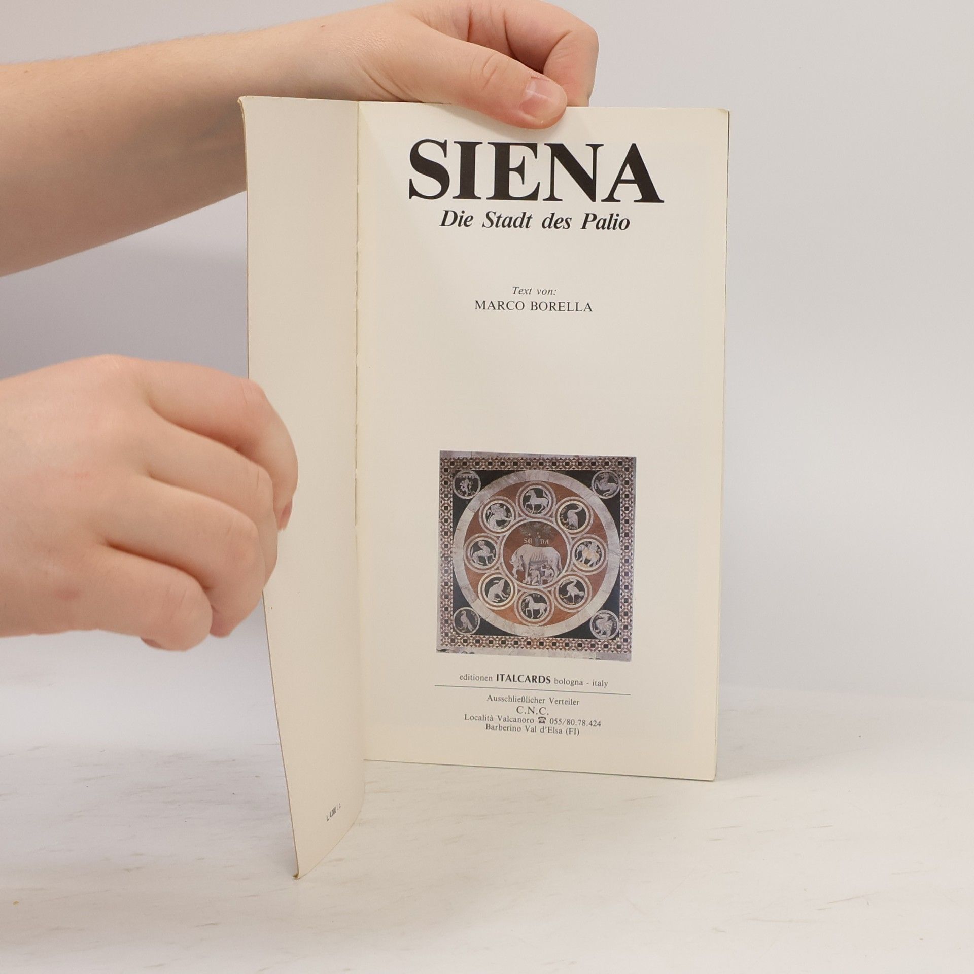 Kolektiv autorů Siena. Die Stadt des Palio