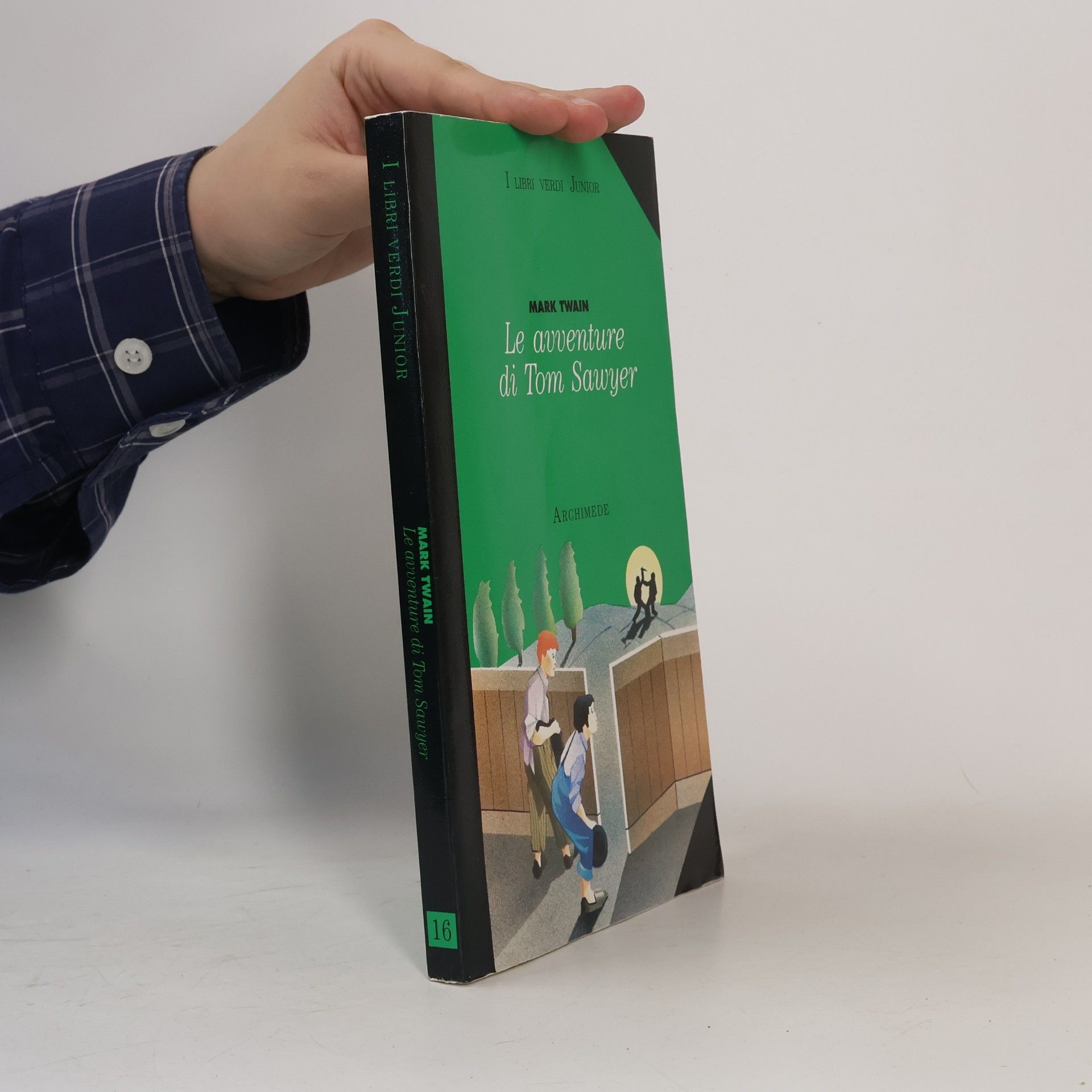 Le avventure di Tom Sawyer