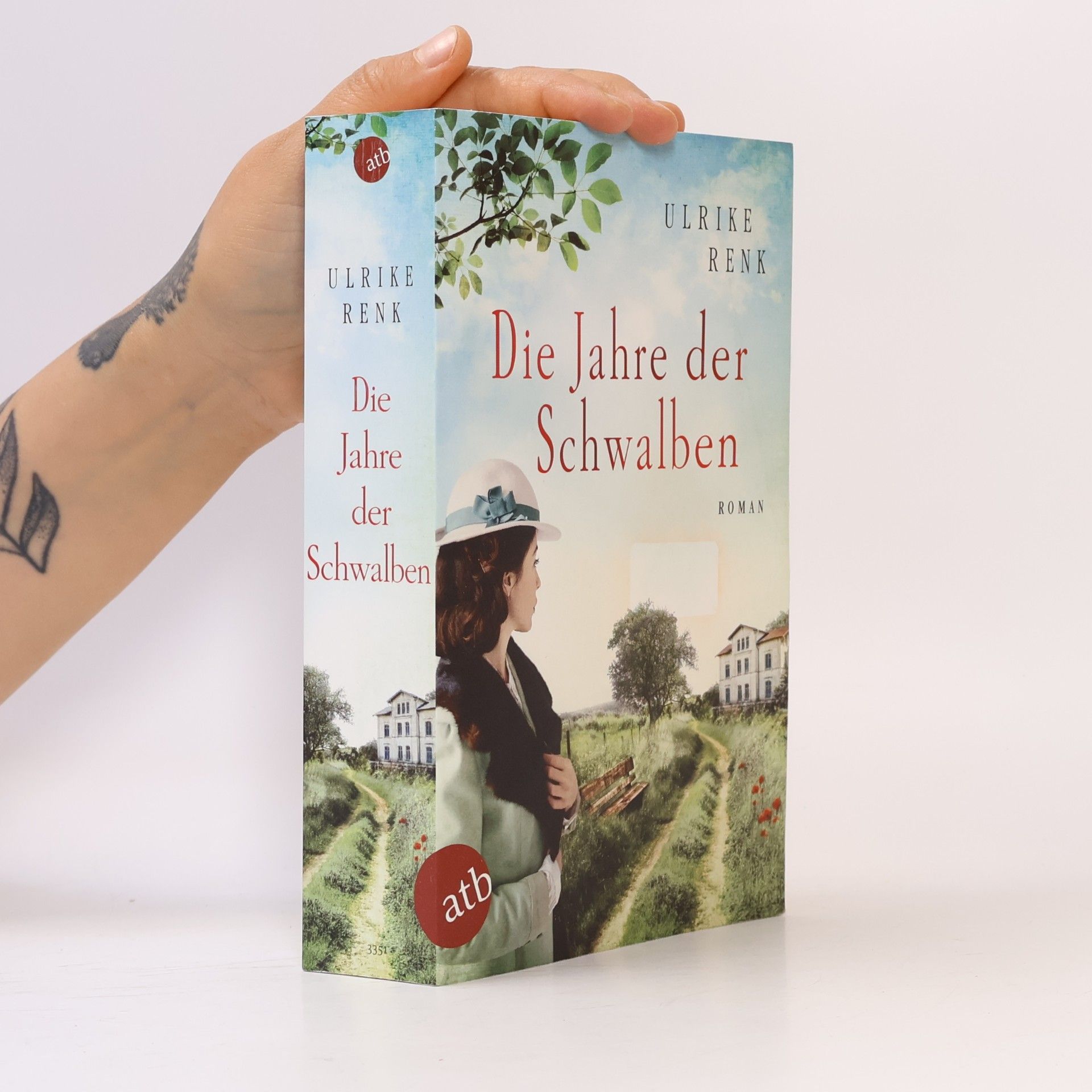 Ulrike Renk Die Jahre der Schwalben