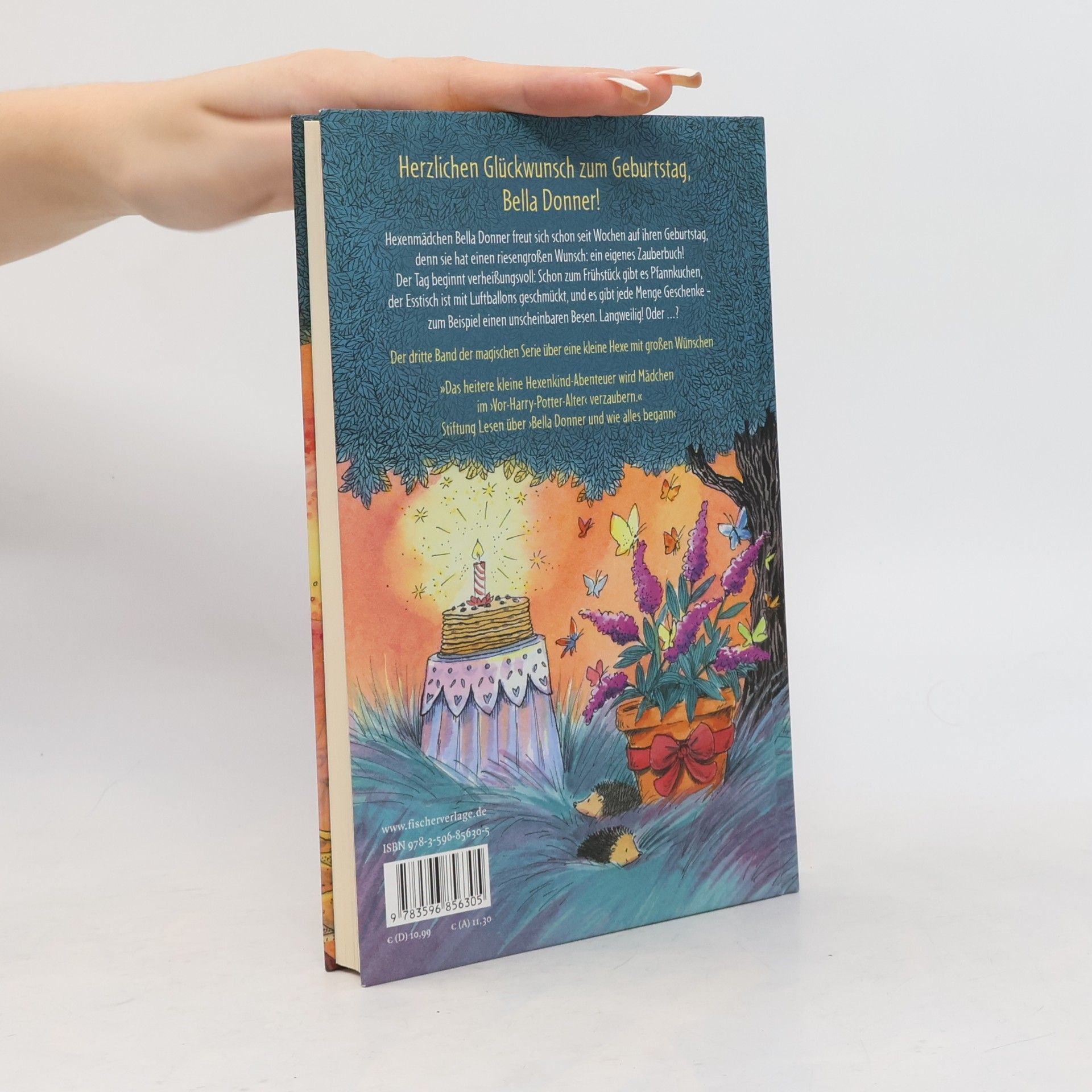 Ruth Symes Bella Donner und der Wunderbesen