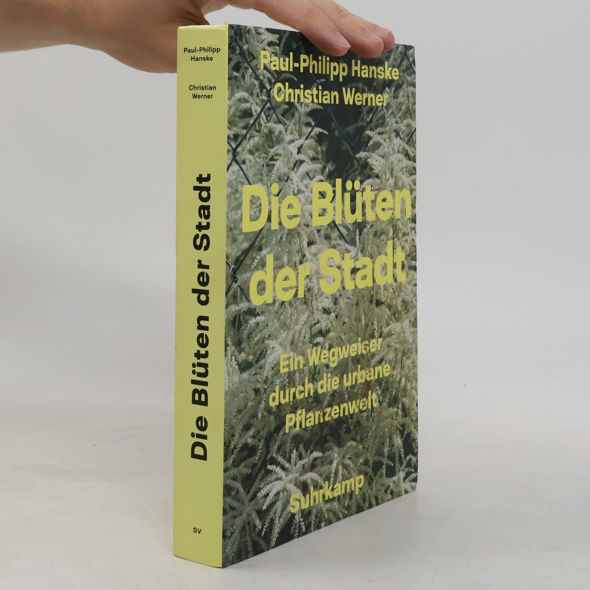 Paul Philipp Hanske Die Blüten der Stadt