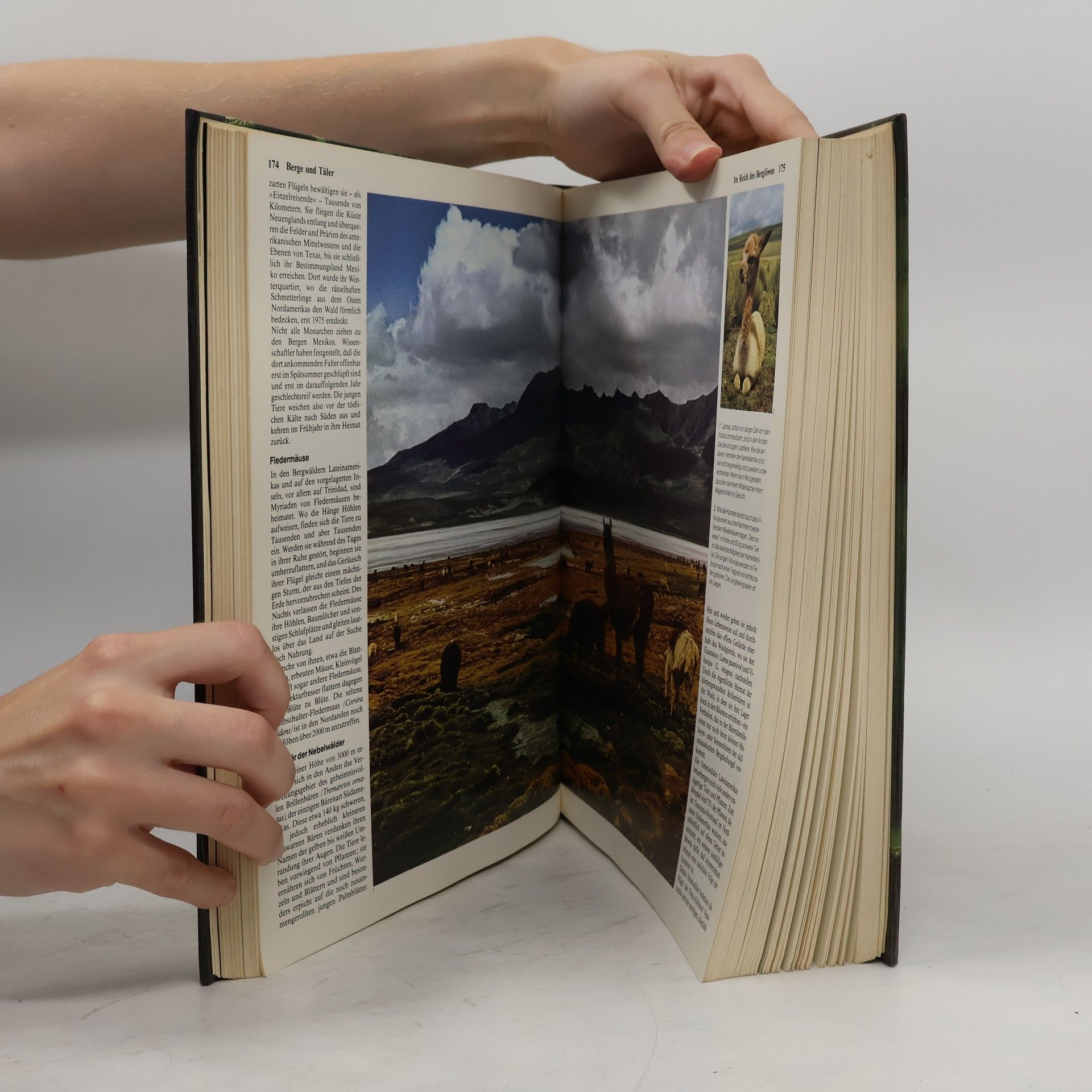 Heinz Sielmann Das grosse Buch der Tierwelt