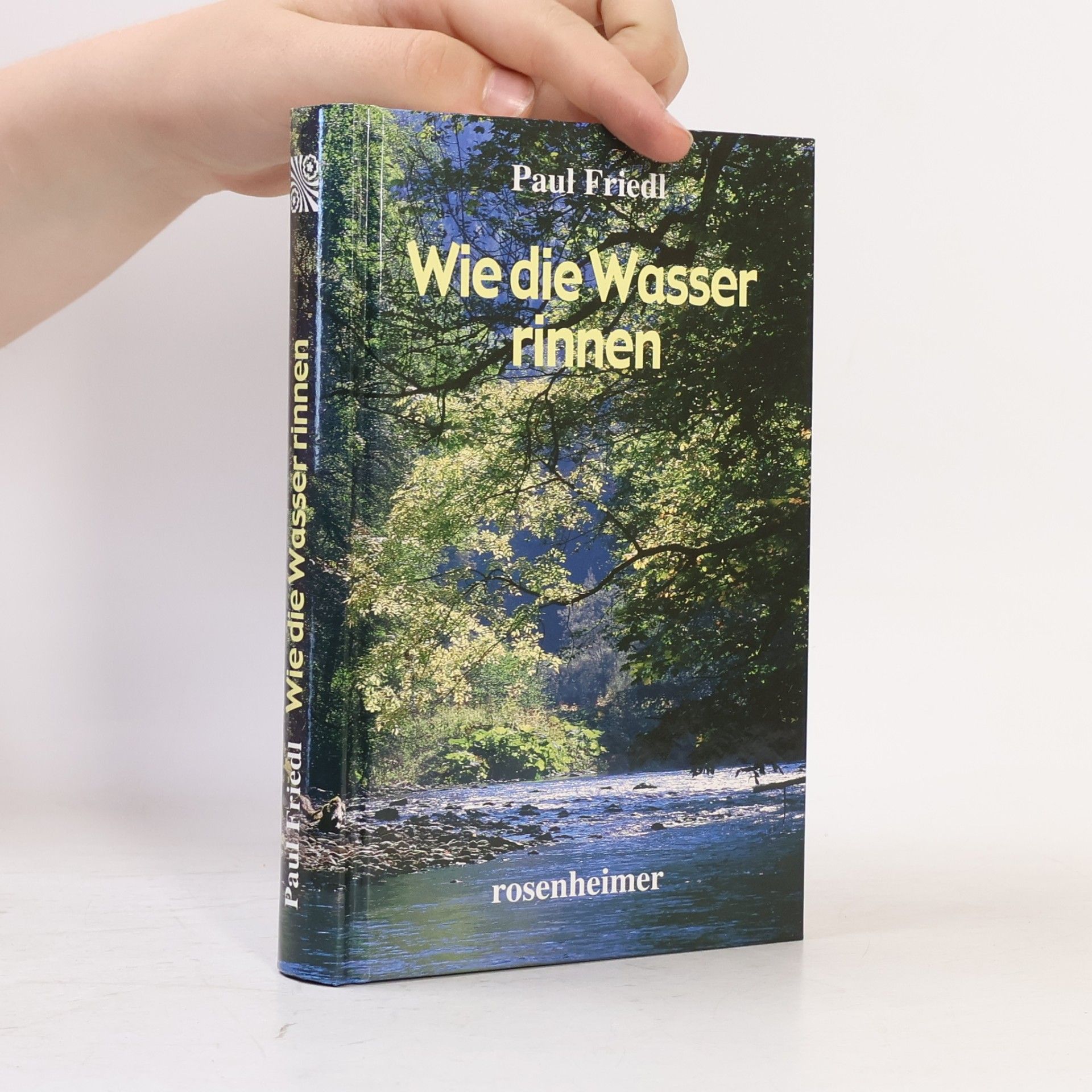 Paul Friedl Wie die Wasser rinnen