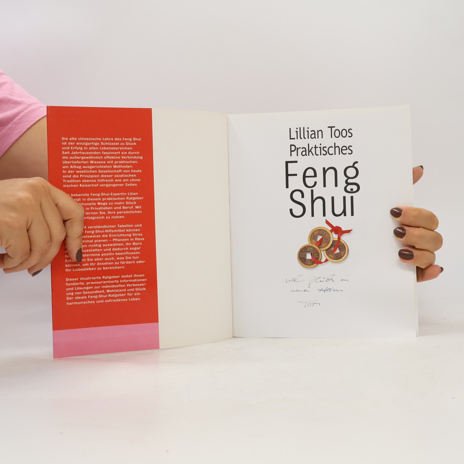 Lillian Too Praktisches Feng Shui