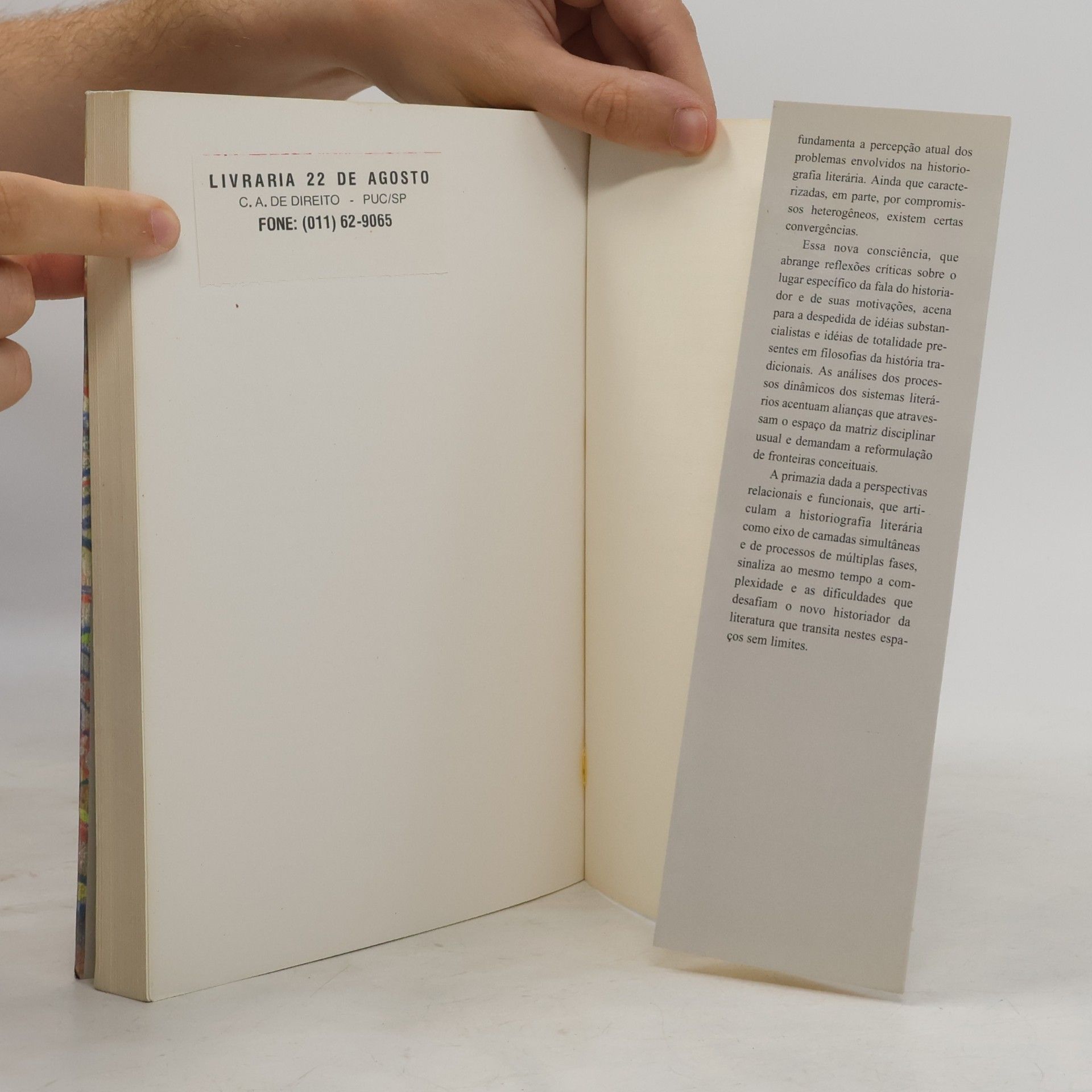 Heidrun Krieger Olinto Histórias de literatura