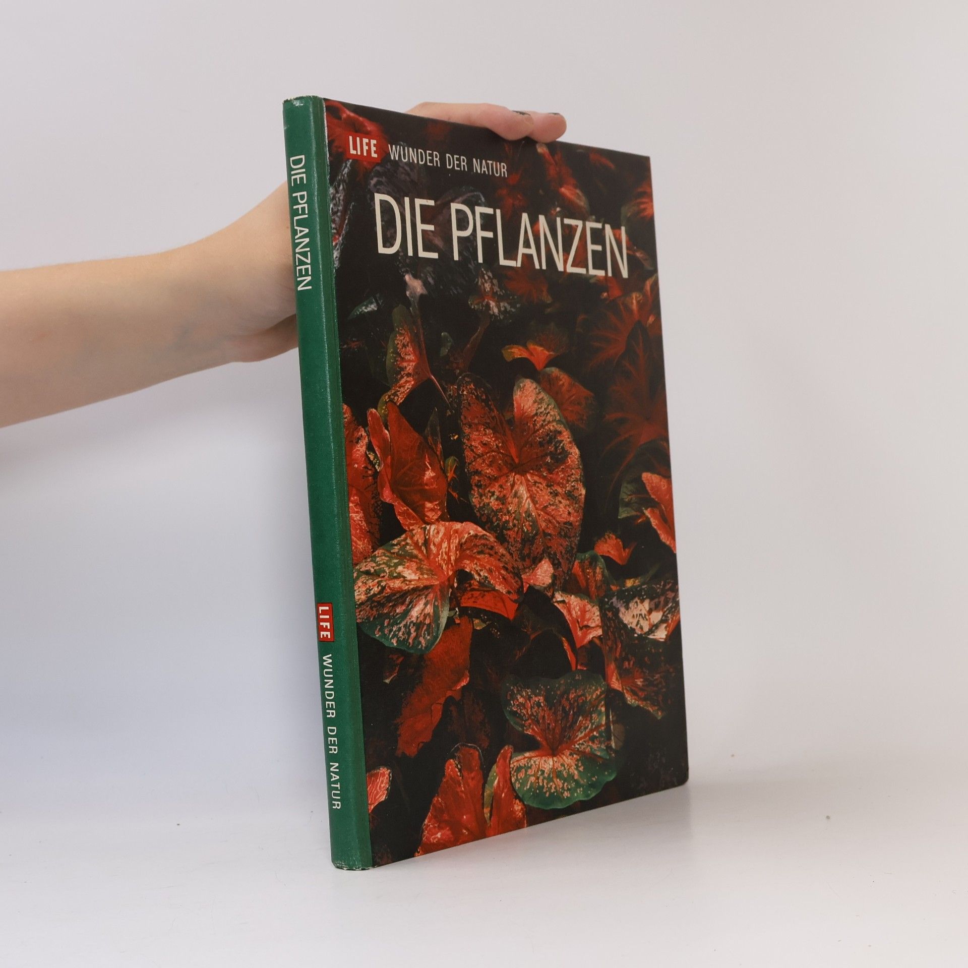 Autorenkollektiv Die Pflanzen