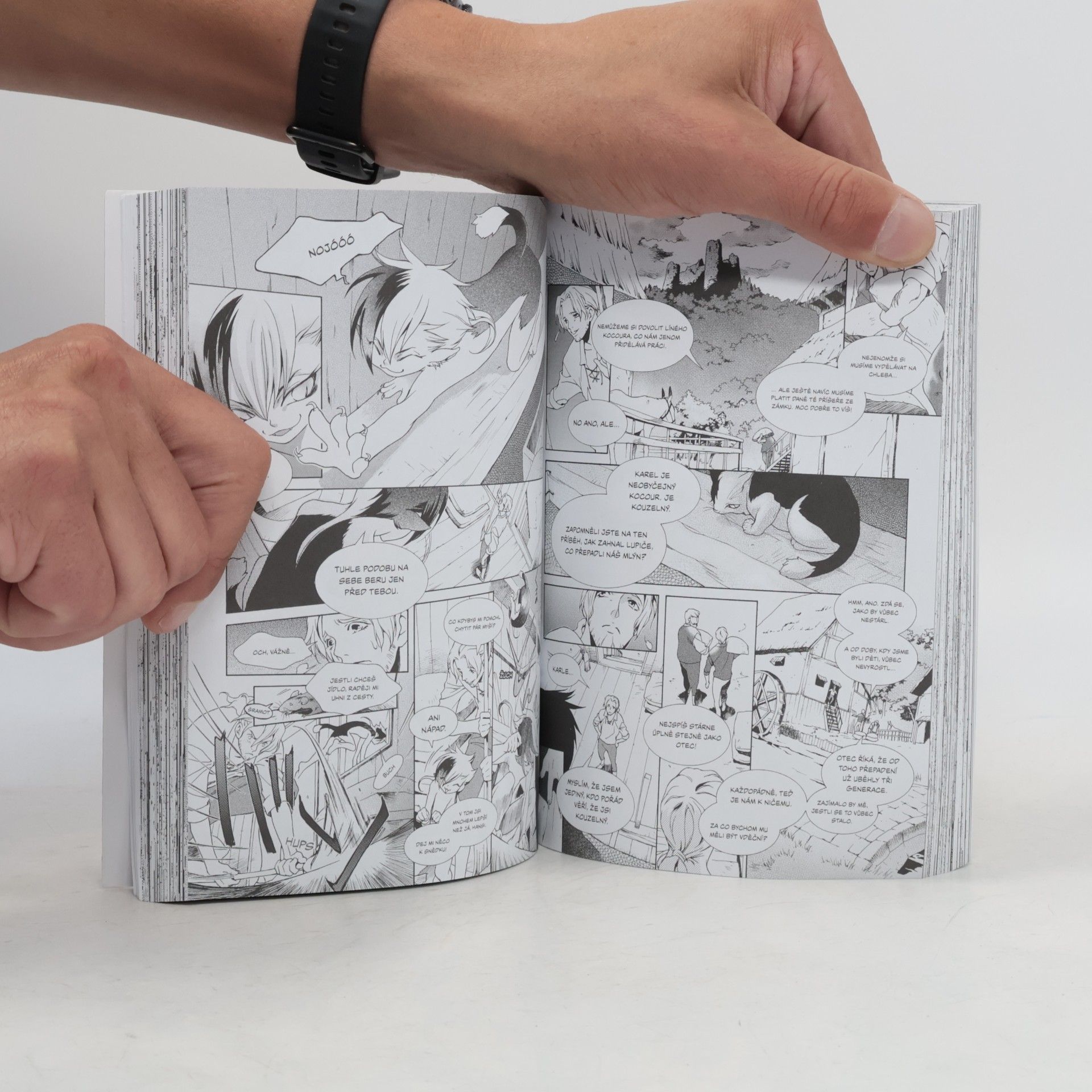 Kei Ishiyama Manga příběhy bratří Grimmů