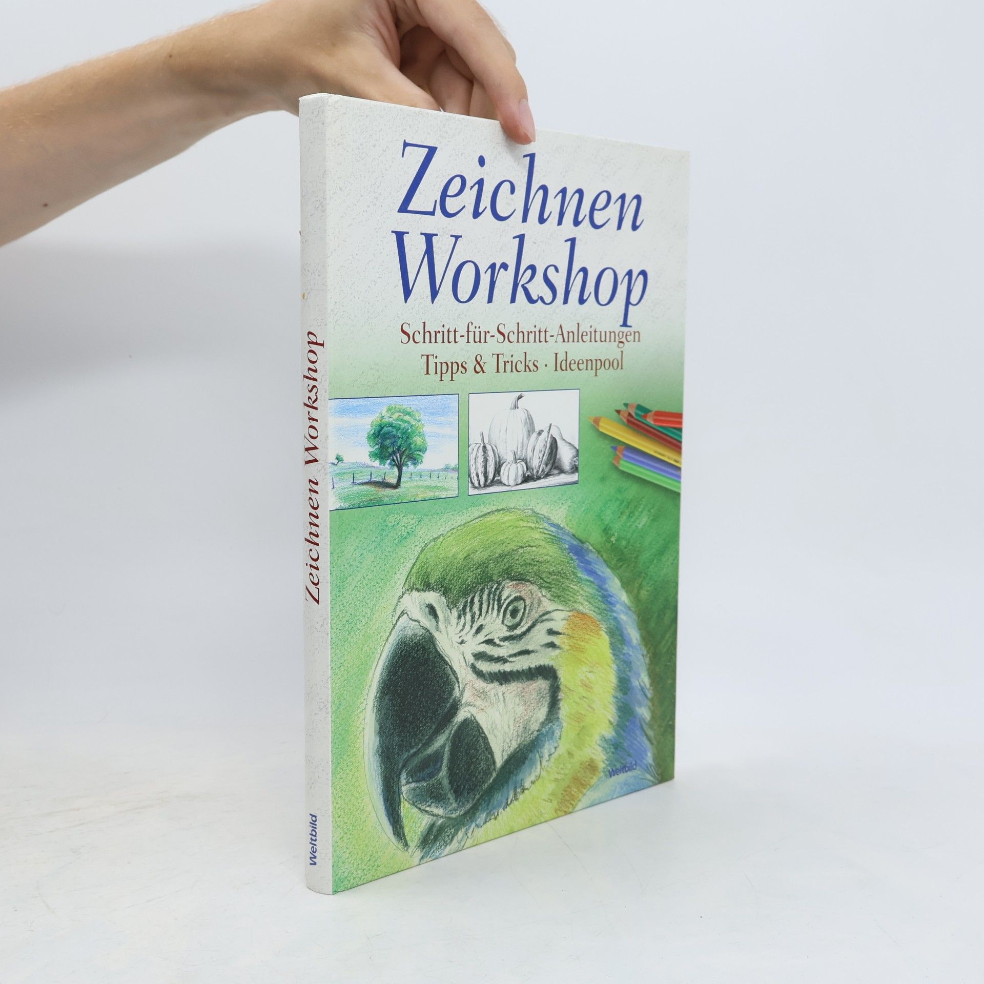 Robert Mergl Zeichnen Workshop