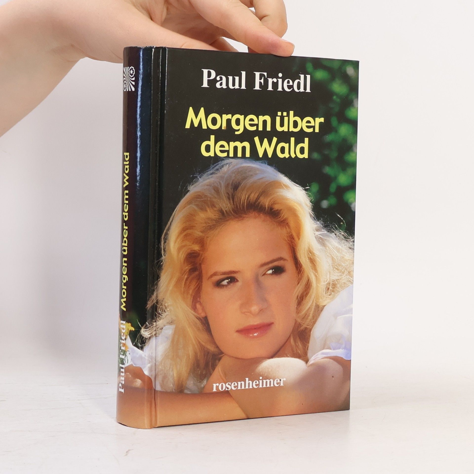 Paul Friedl Morgen über dem Wald