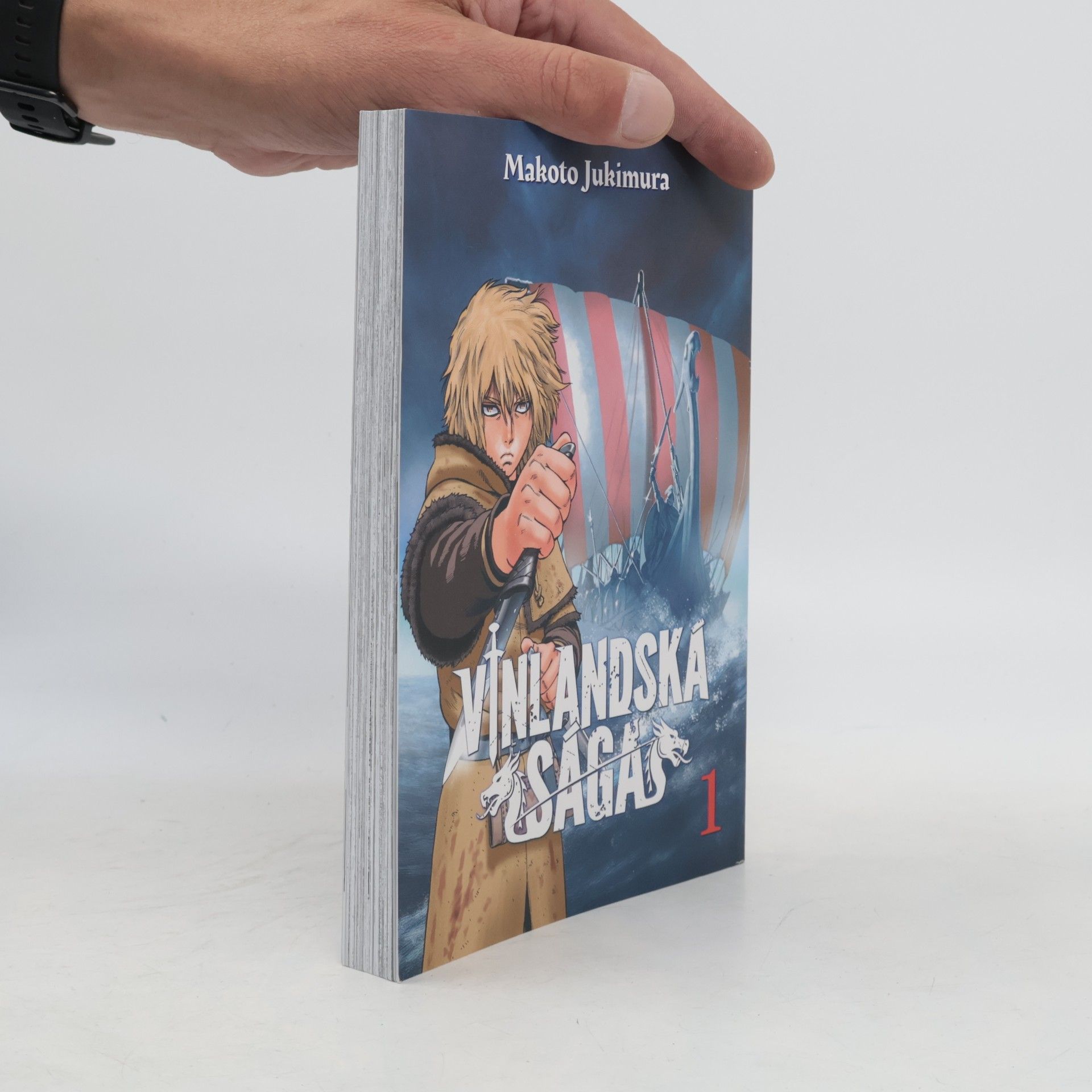 Vinlandská sága 1