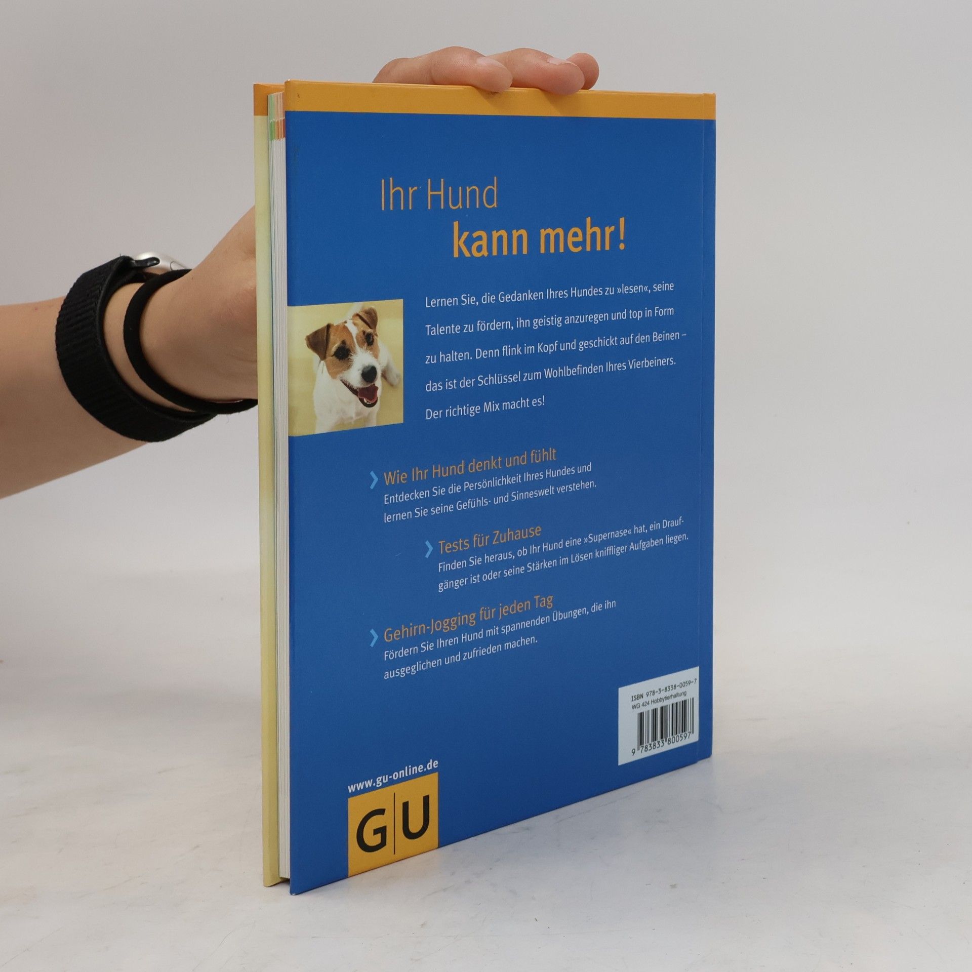 Immanuel Birmelin Schlauer Hund