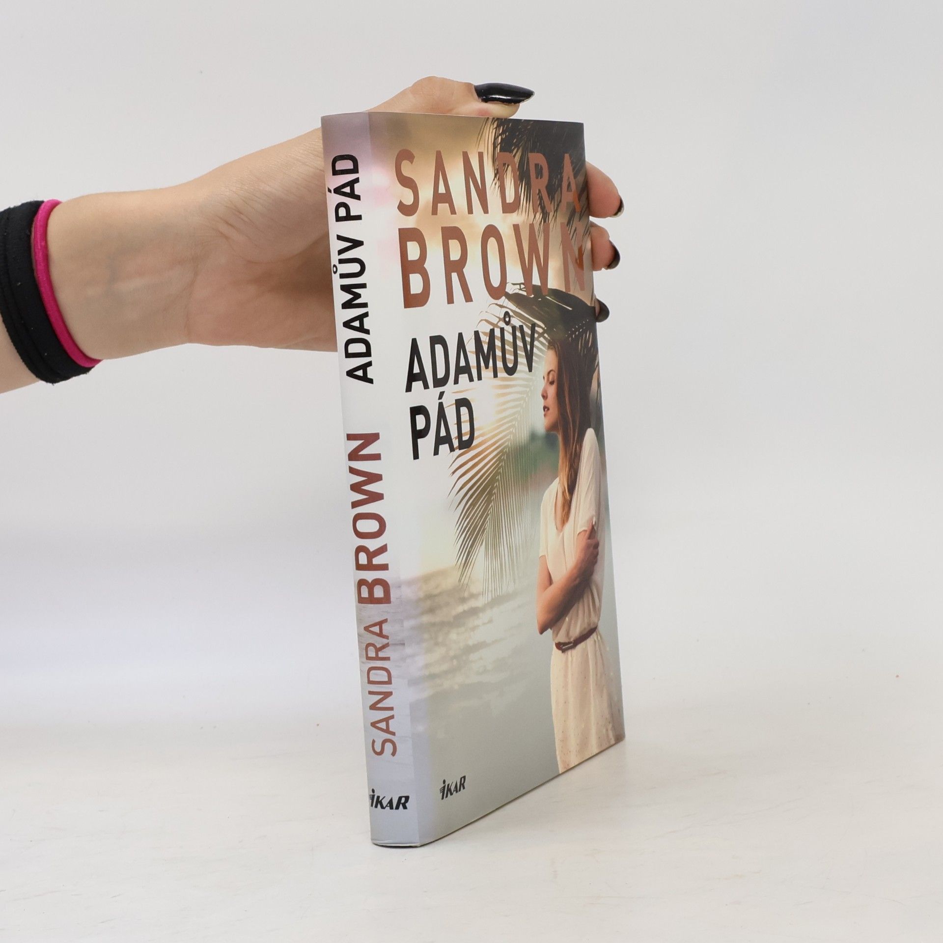 Sandra Brown Adamův pád