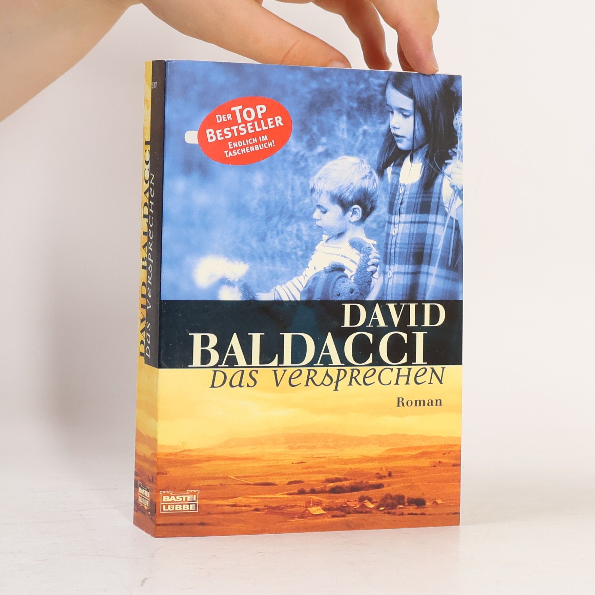 David Baldacci Das Versprechen